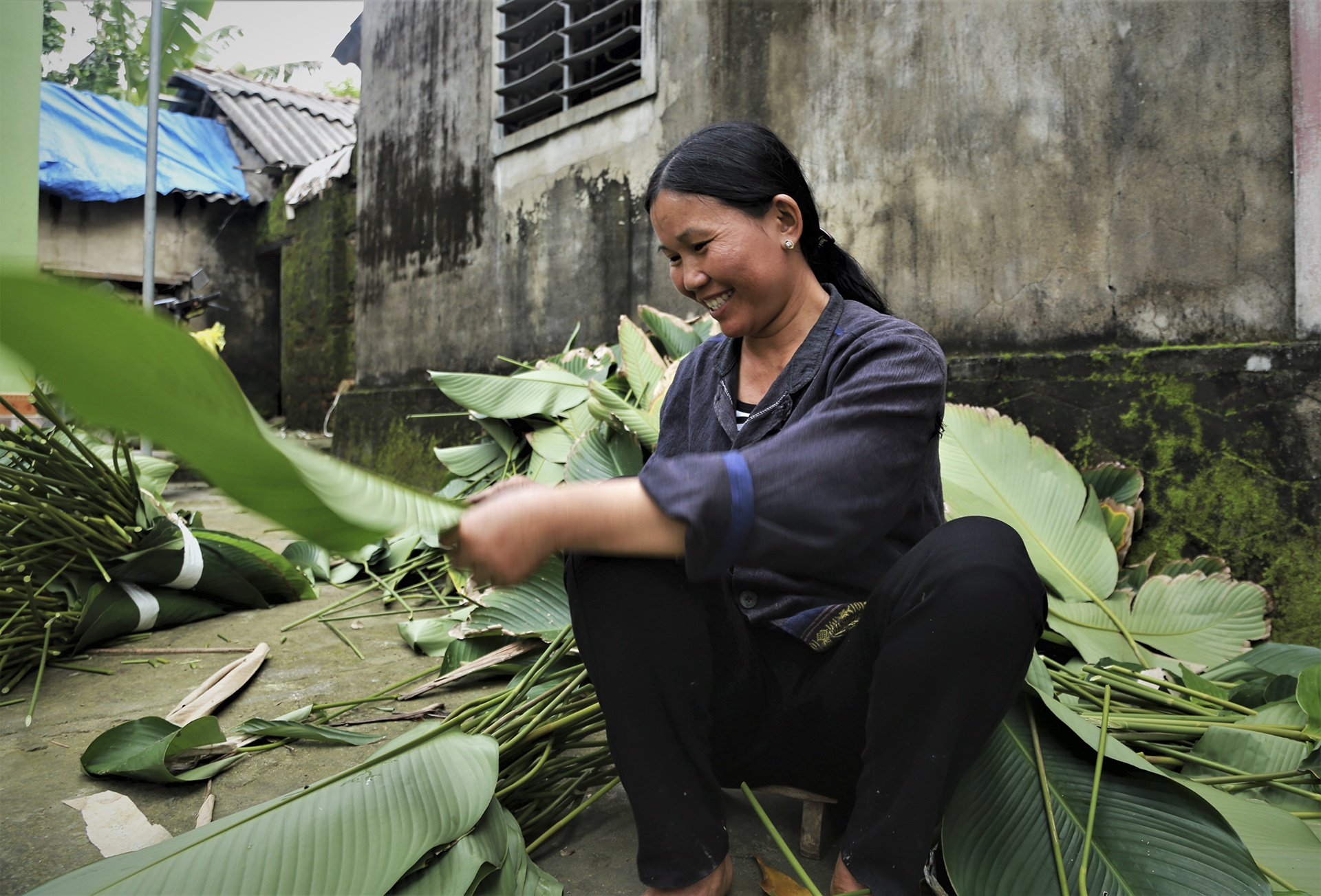 lang la dong vao vu Tet anh 6