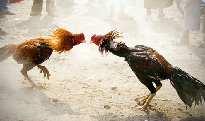Cong an no sung pha tu diem da ga, mot nguoi tu vong hinh anh