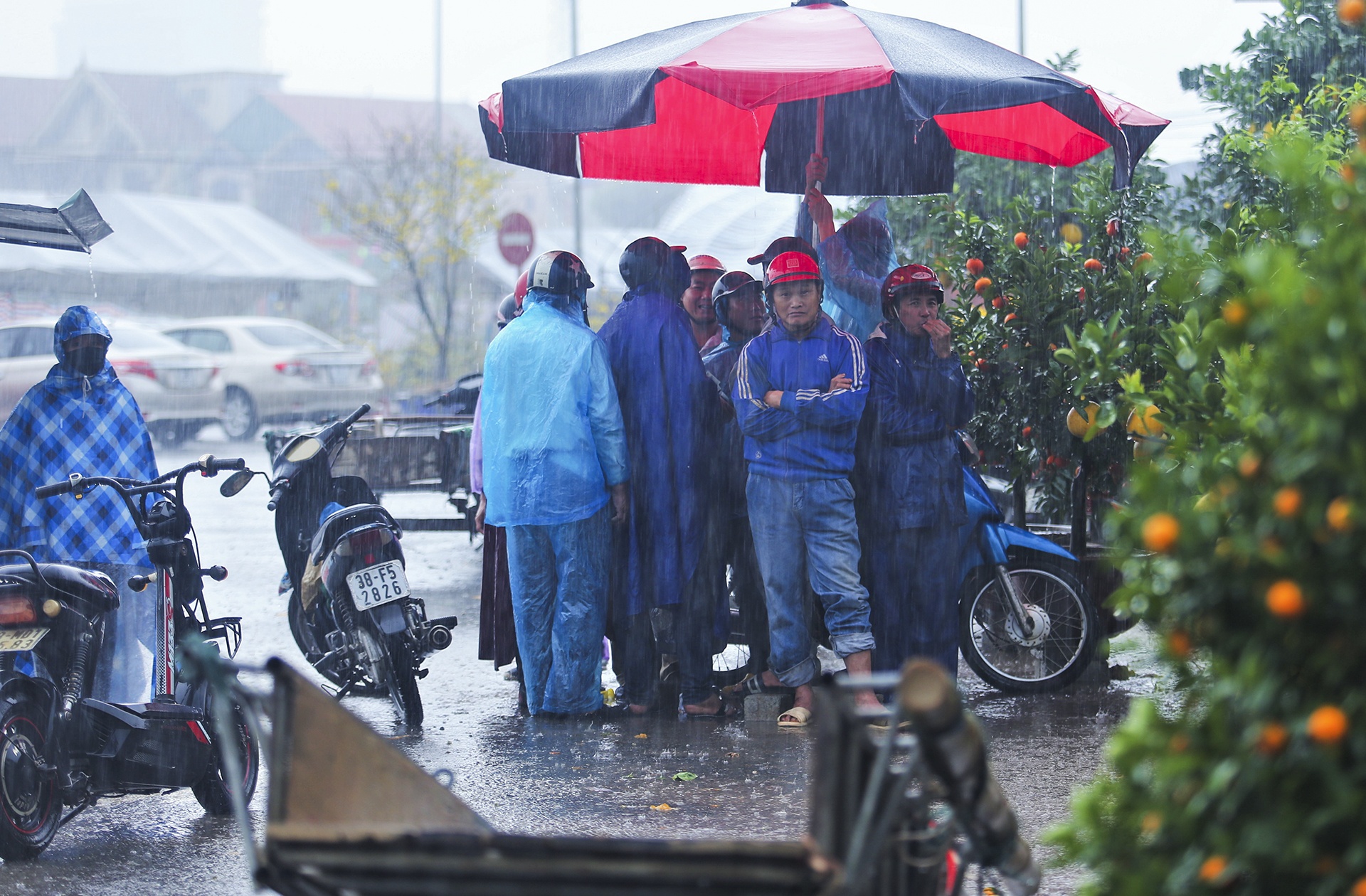 cho Tet Canh Ty anh 8