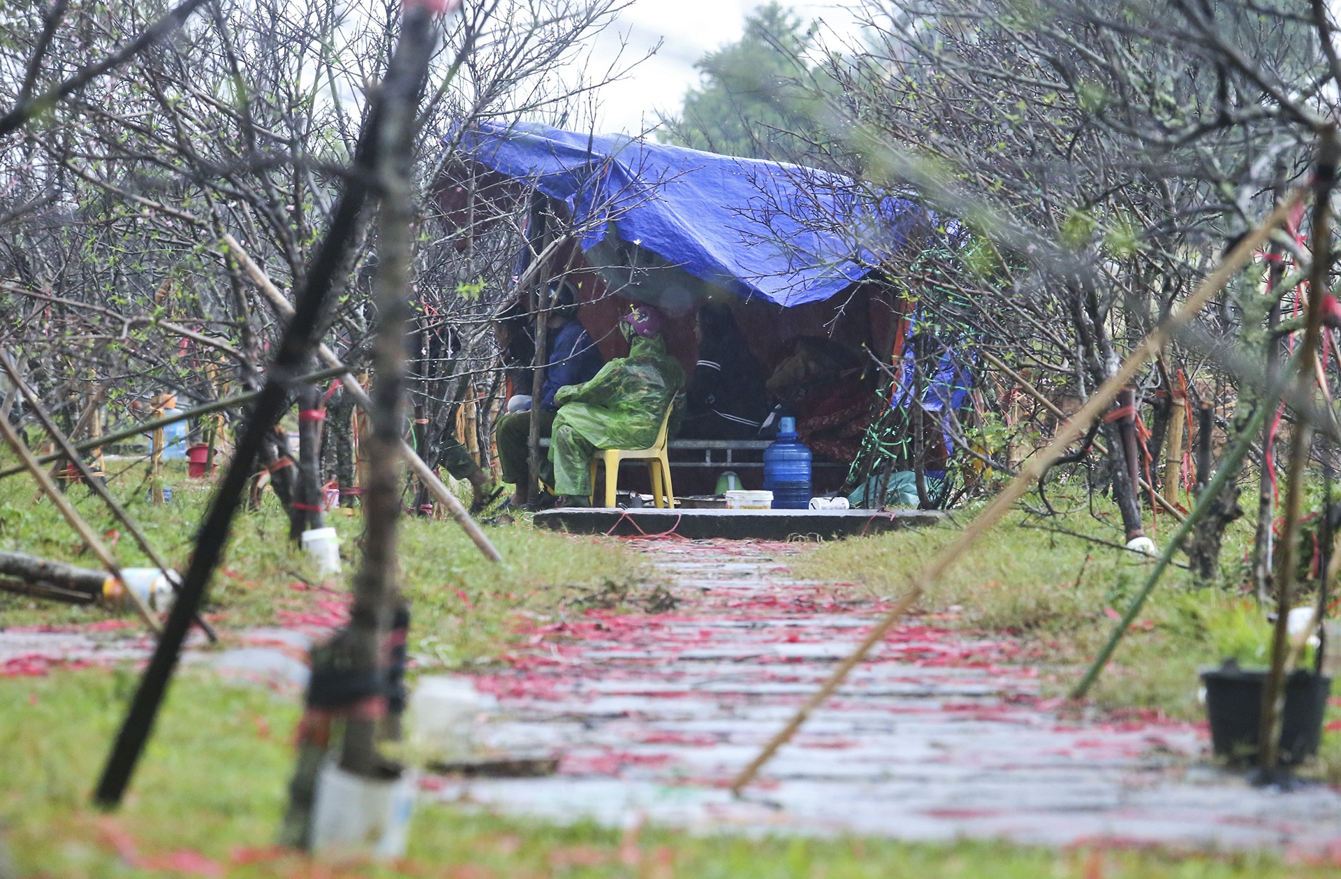 cho Tet Canh Ty anh 9