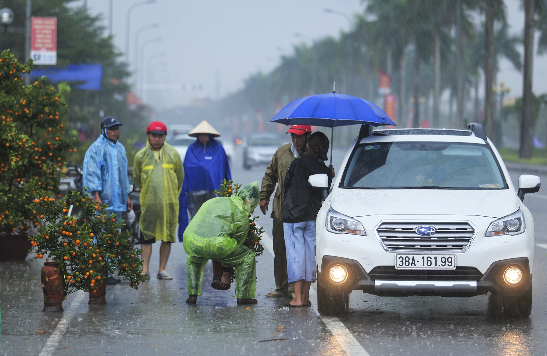 cho Tet Canh Ty anh 1