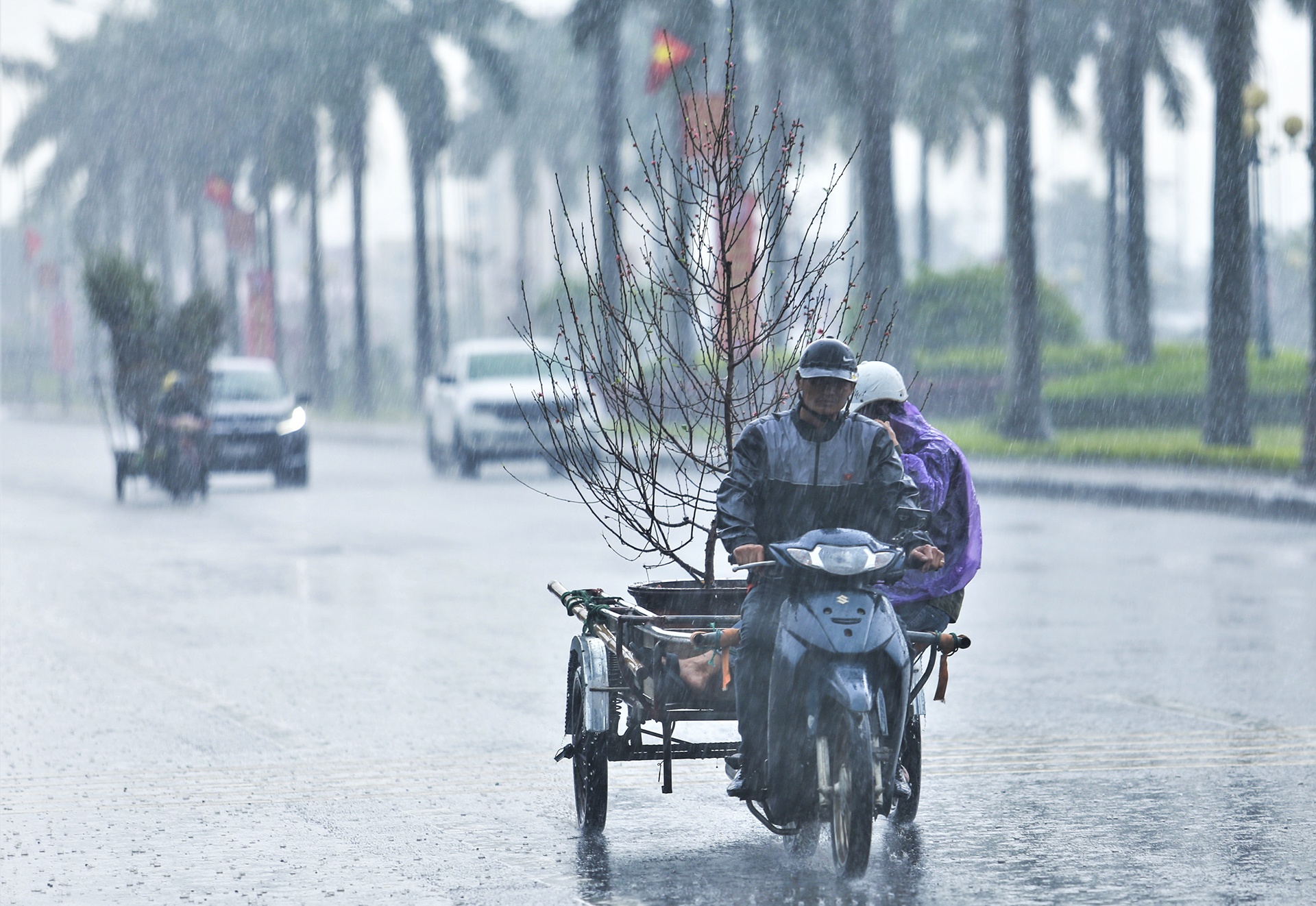 cho Tet Canh Ty anh 11