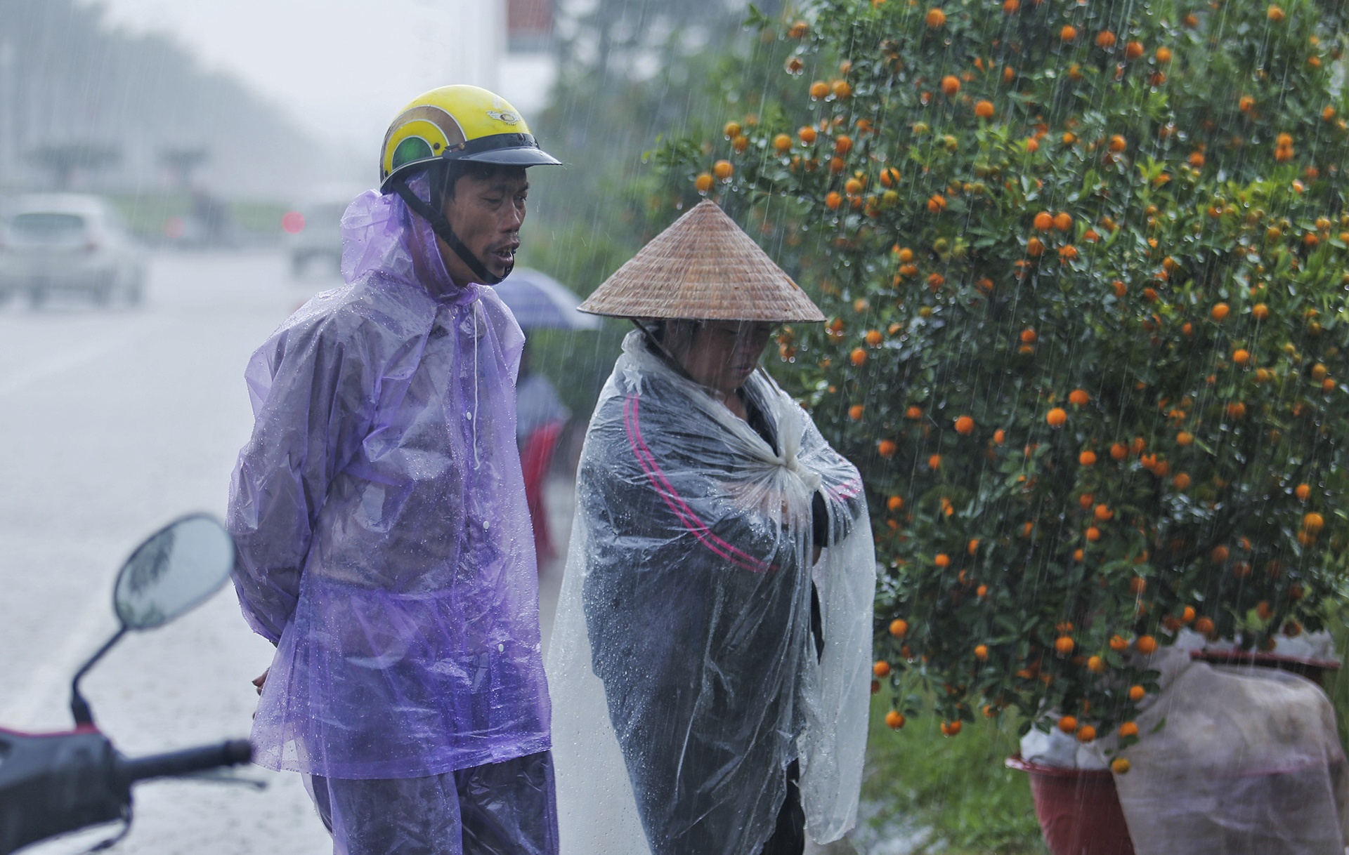 cho Tet Canh Ty anh 2