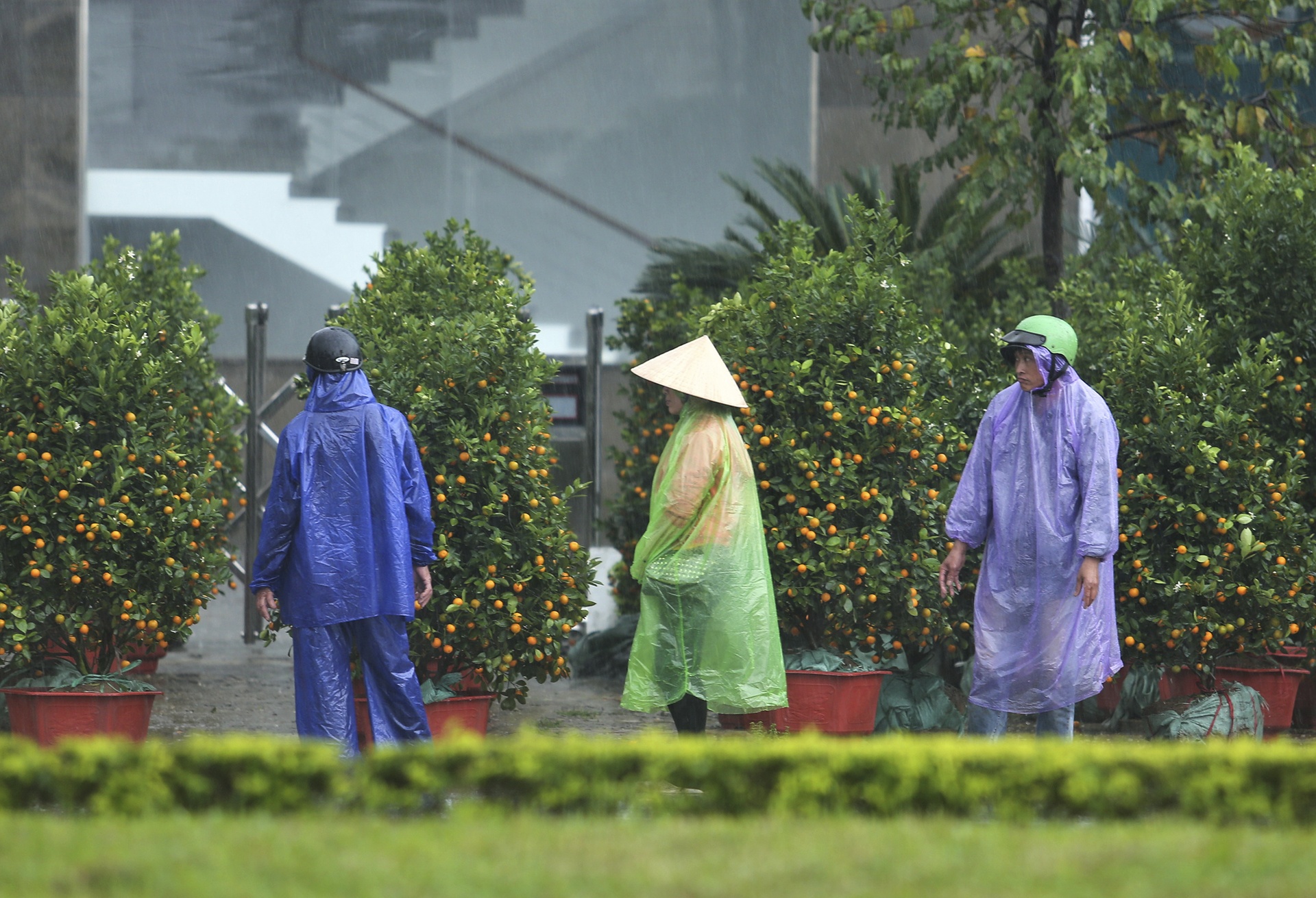 cho Tet Canh Ty anh 3