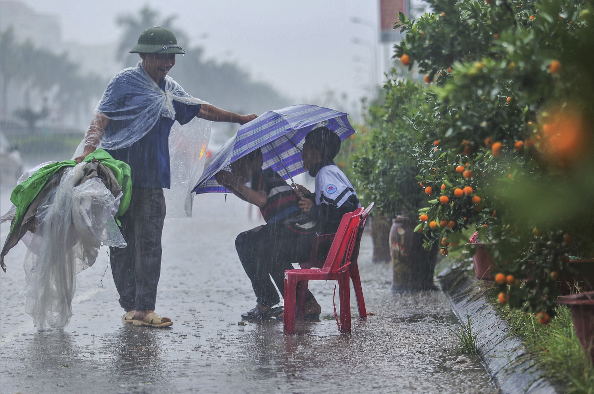 cho Tet Canh Ty anh 5