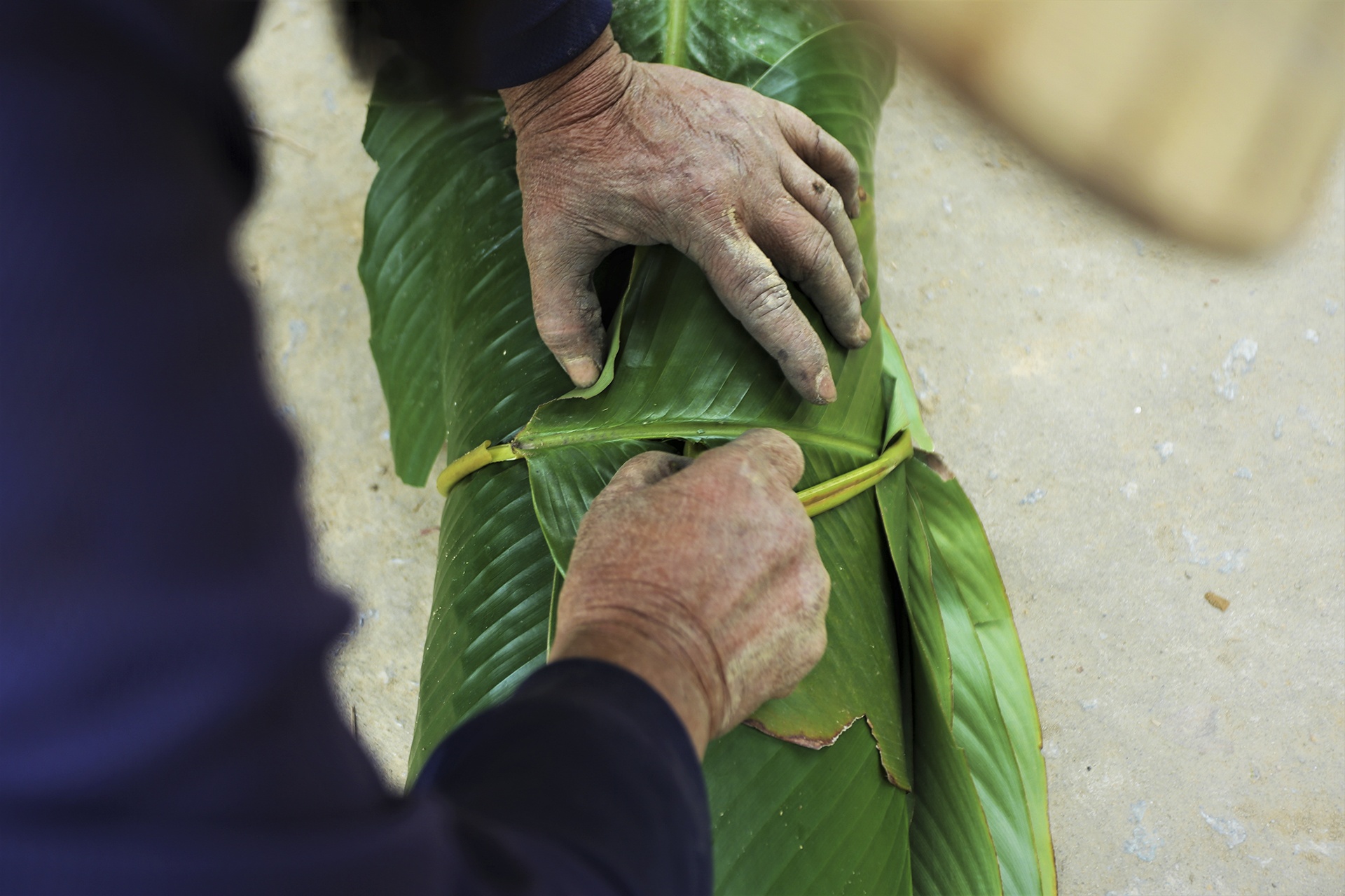 vung trong la dong anh 8