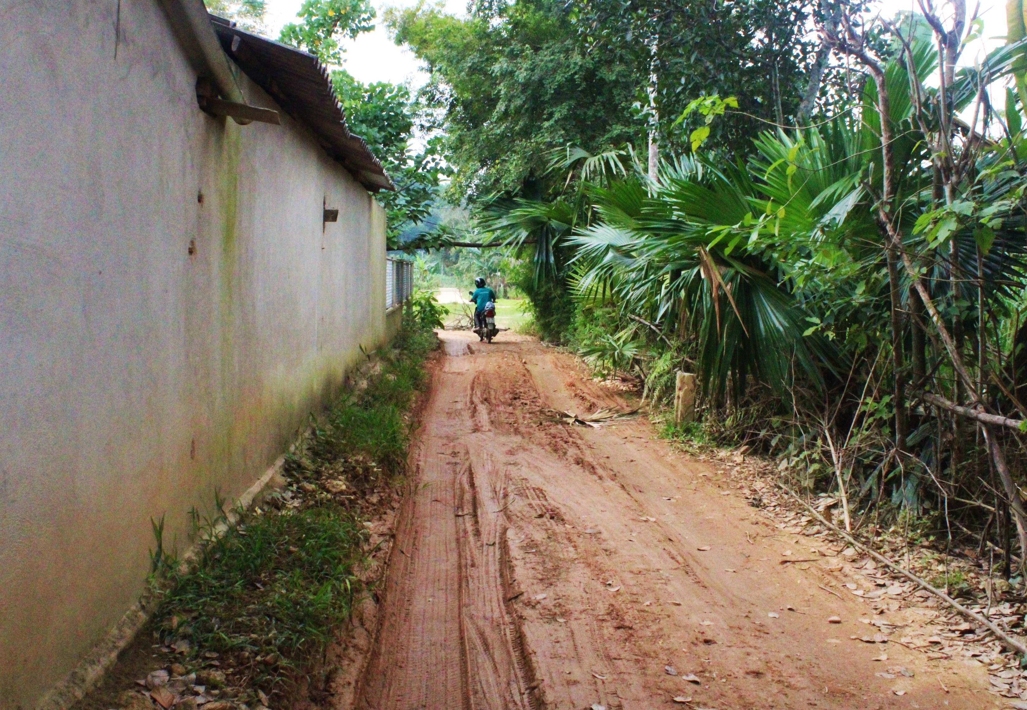 cau tien ty khong co duong dan anh 2