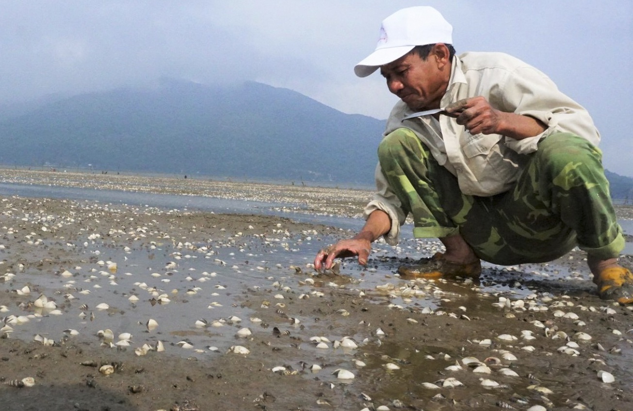 Nguoi nuoi dieu dung khi ngao chet trang dam hinh anh