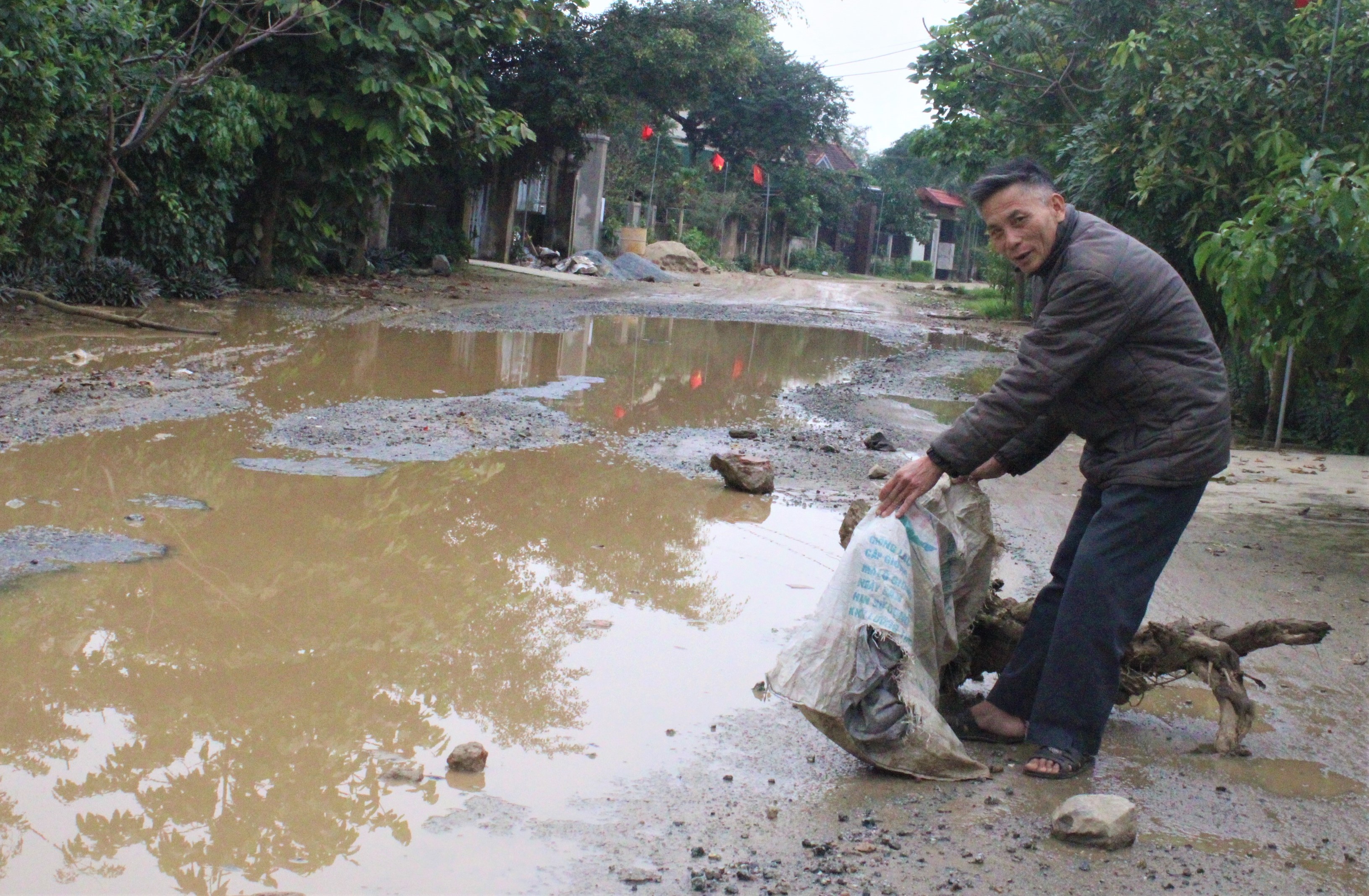 Dan rai goc cay, da ngan oto tai 'cay nat' duong hinh anh