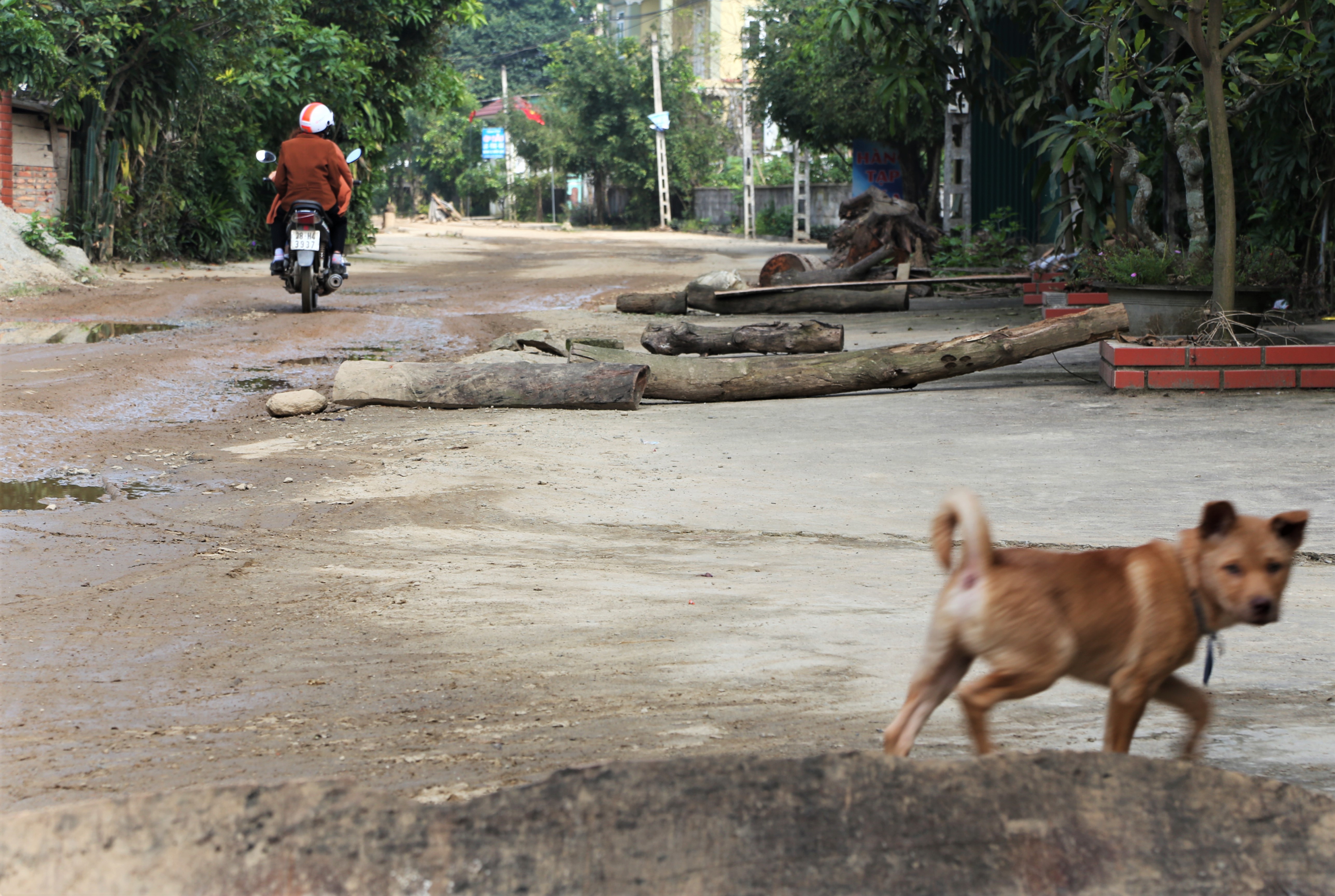 duong lien xa nat tuong anh 3