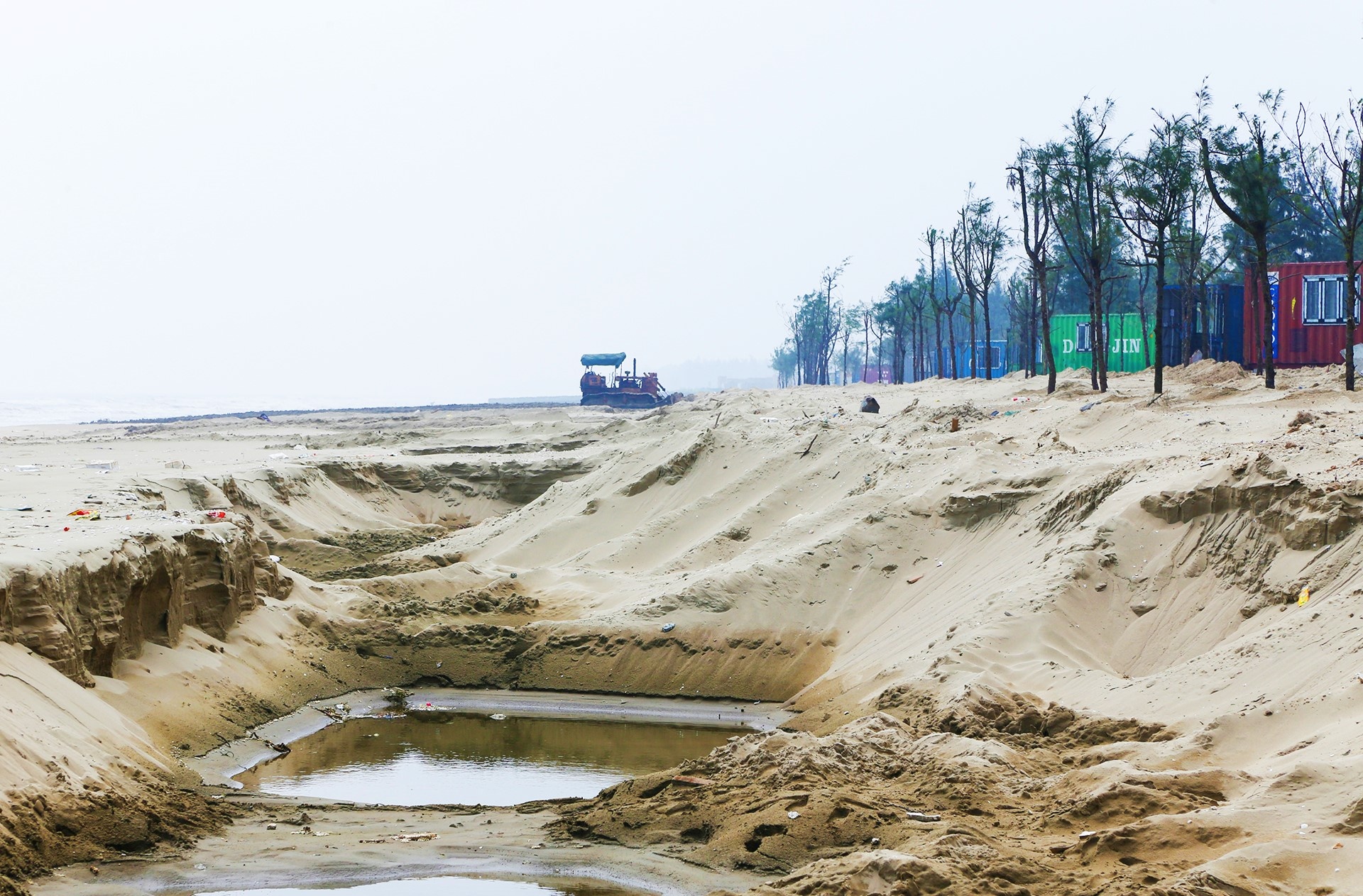 rung phong ho bi pha nat anh 5