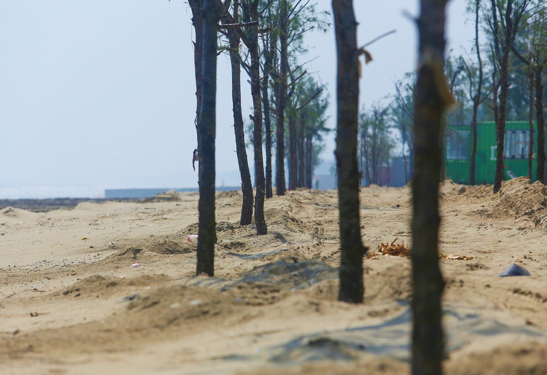 rung phong ho bi pha nat anh 7