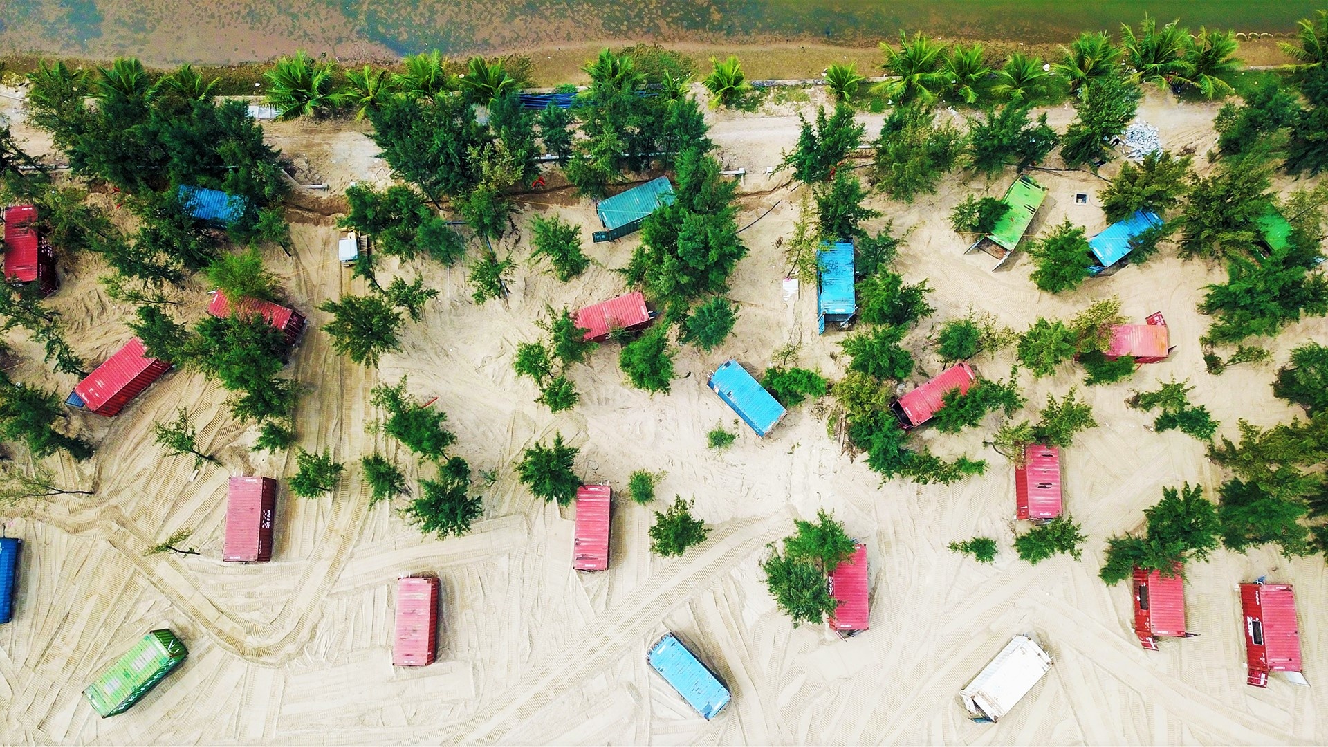 rung phong ho bi pha nat anh 3