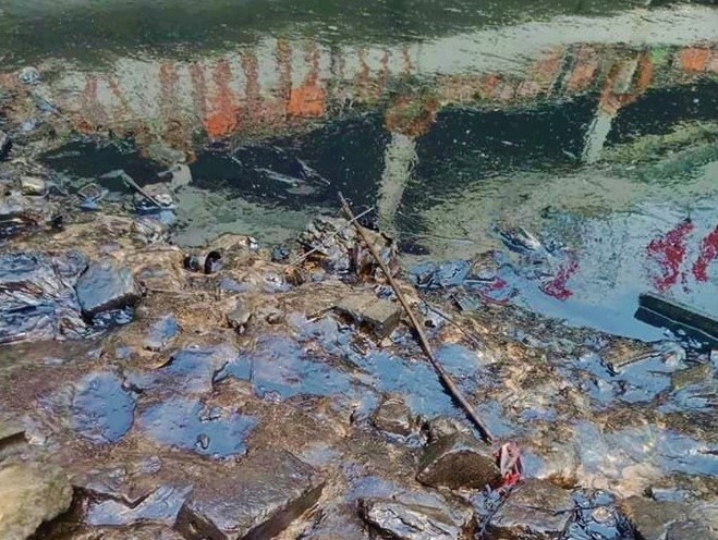 vet dau loang tren song Lam anh 2