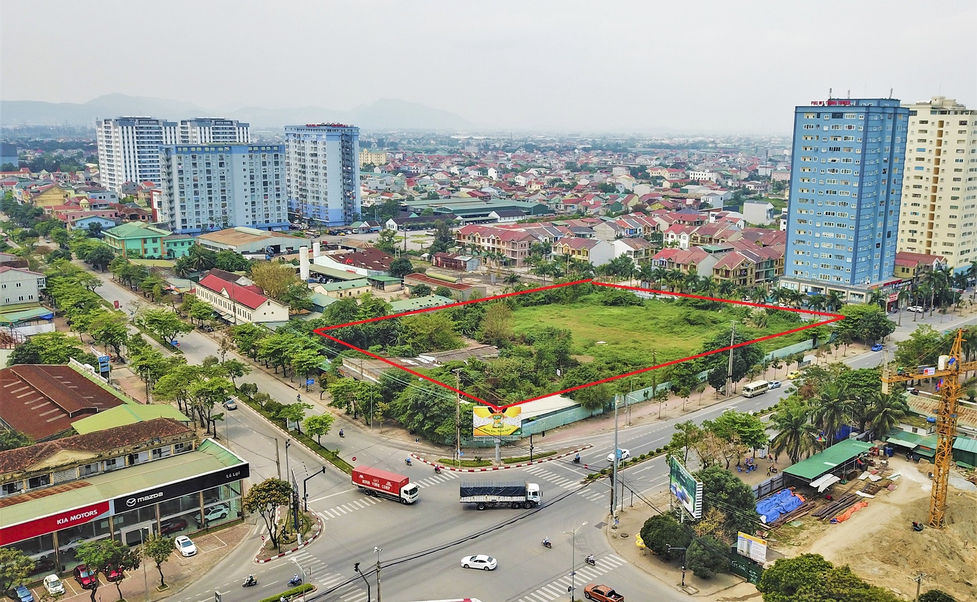 dat vang bo hoang anh 1