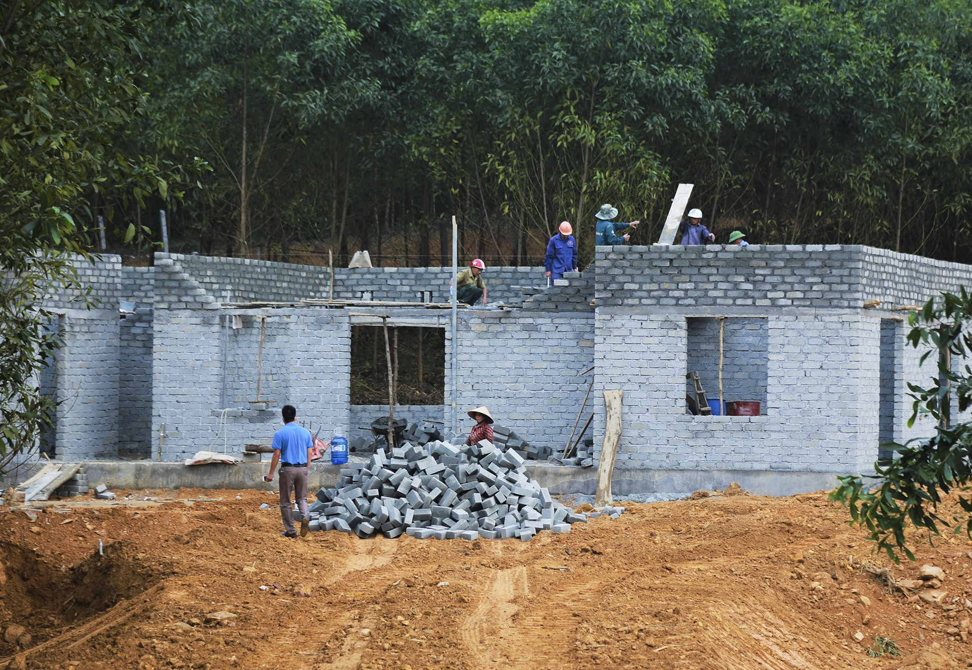 khu sinh thai chui anh 3