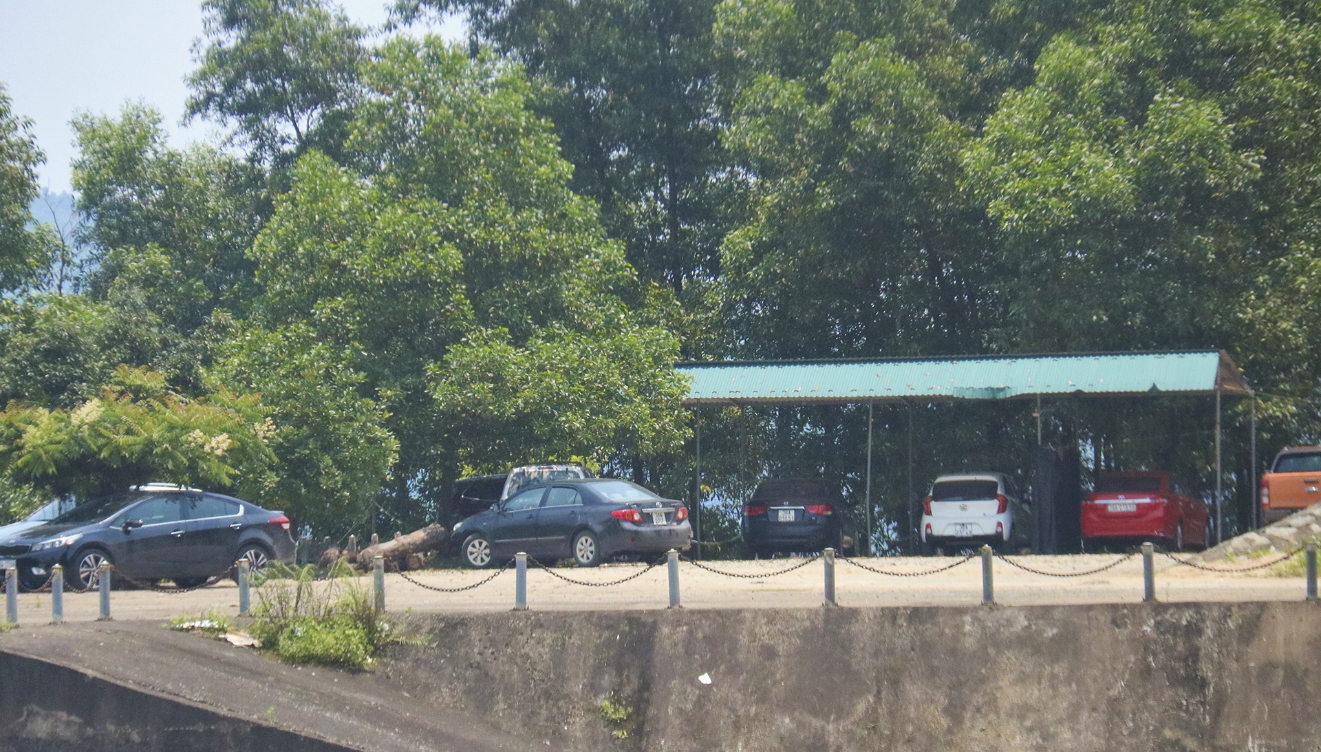 tu tap an uong giua dich Covid anh 2