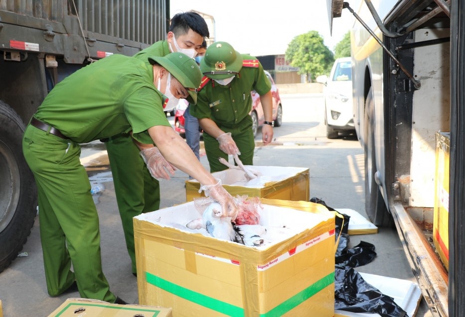 Xe khach cho 800 kg thit cho va noi tang boc mui hinh anh