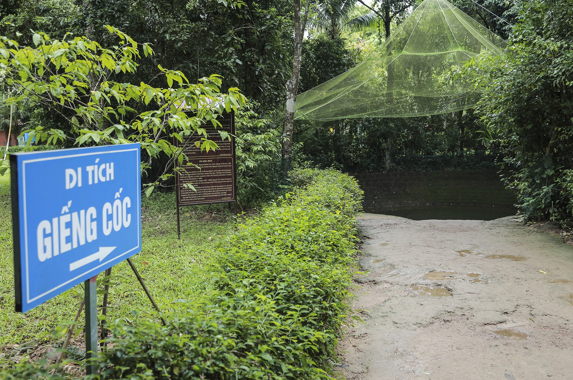 Lang Sen que Bac Ho anh 6