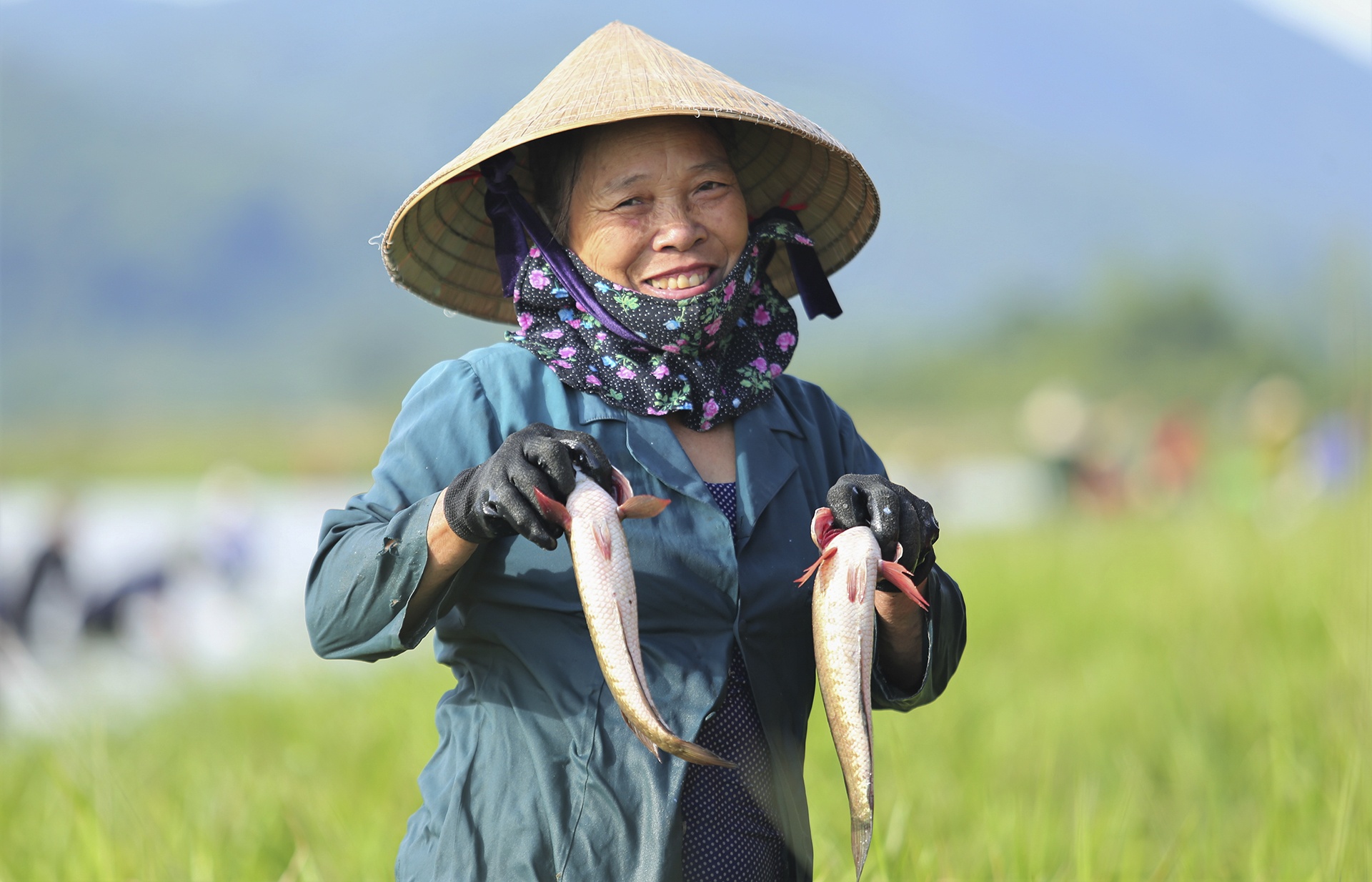 le hoi danh ca cau may anh 11