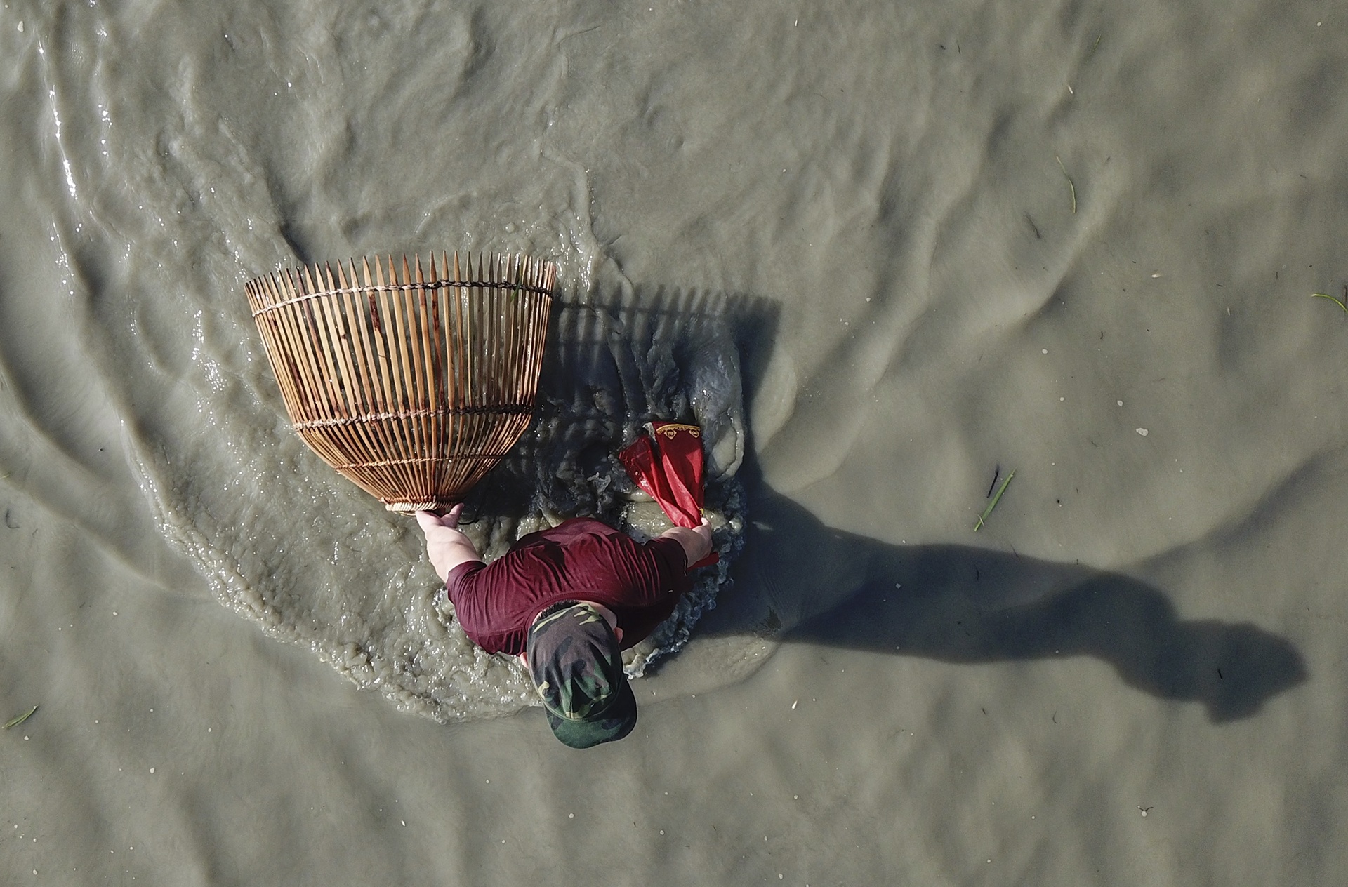 le hoi danh ca cau may anh 15