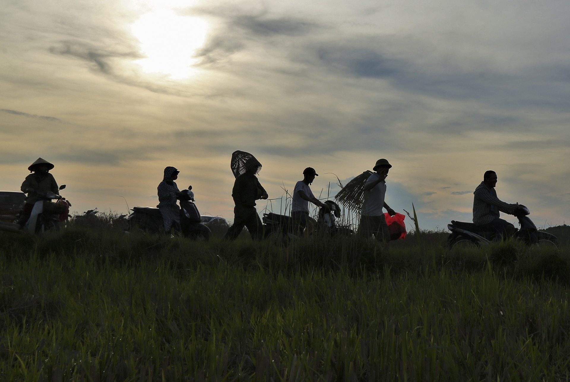 le hoi danh ca cau may anh 3