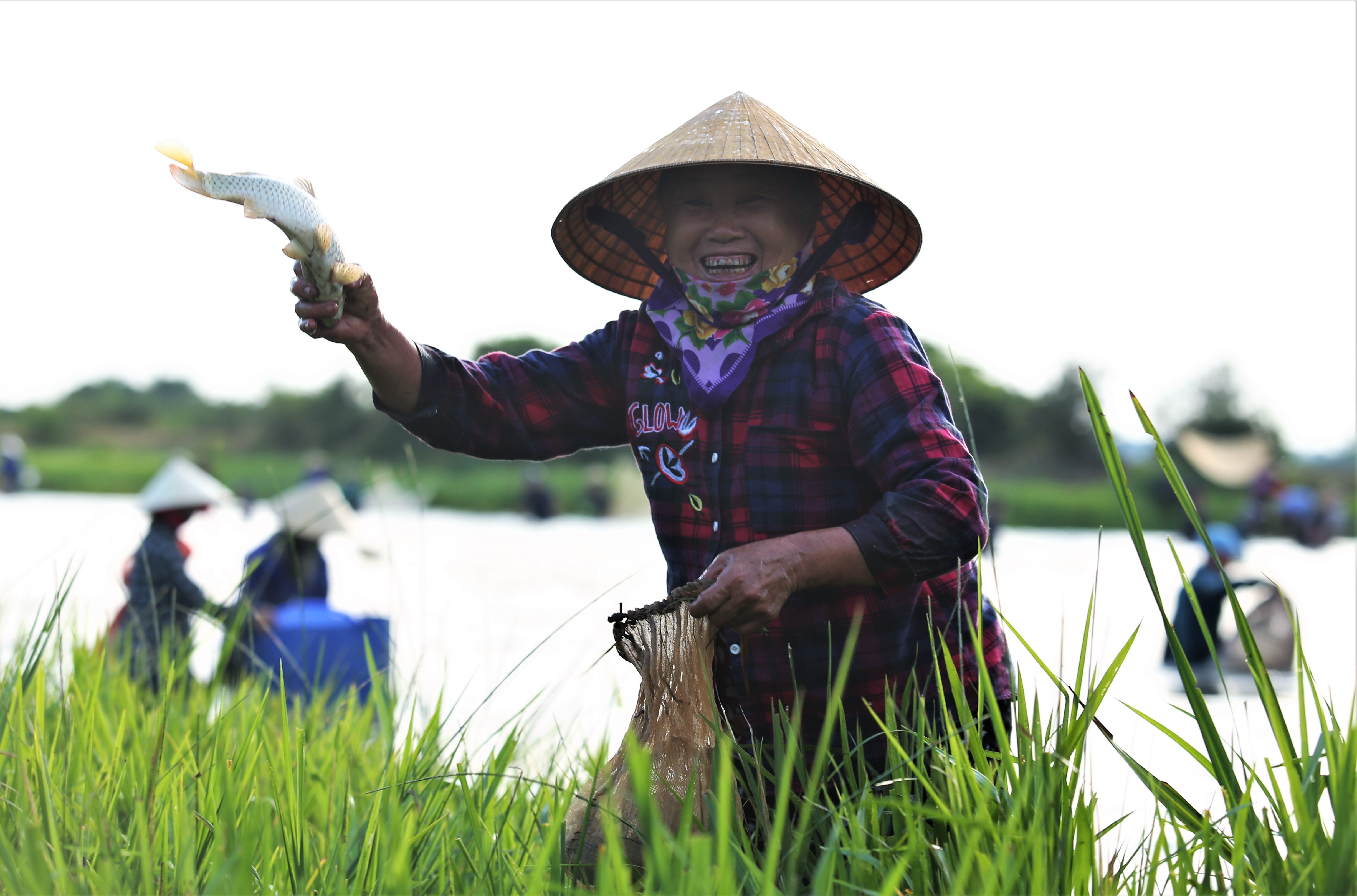 Loi bun bat ca cau may hinh anh