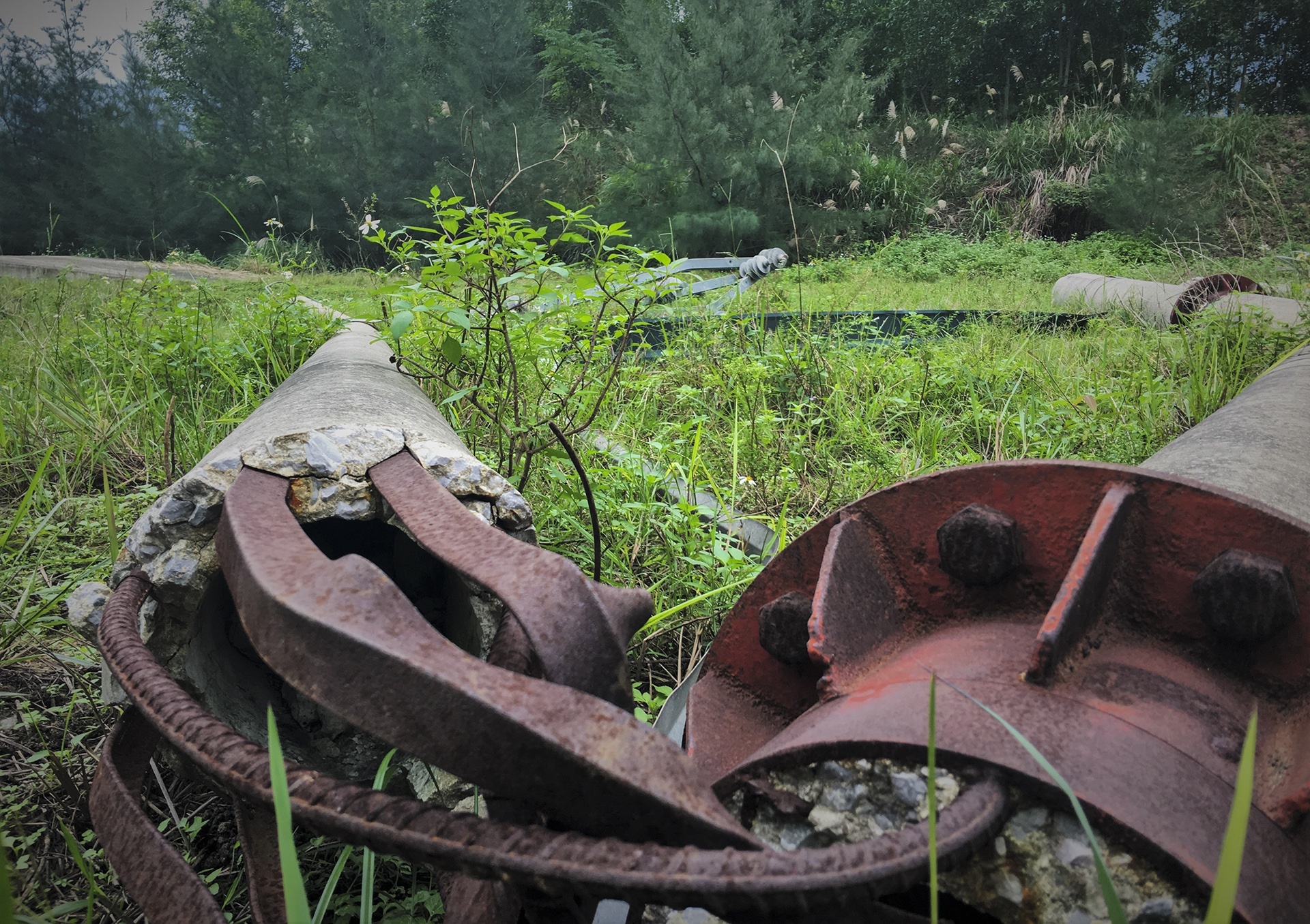 du an trieu do tai khoi dong anh 5