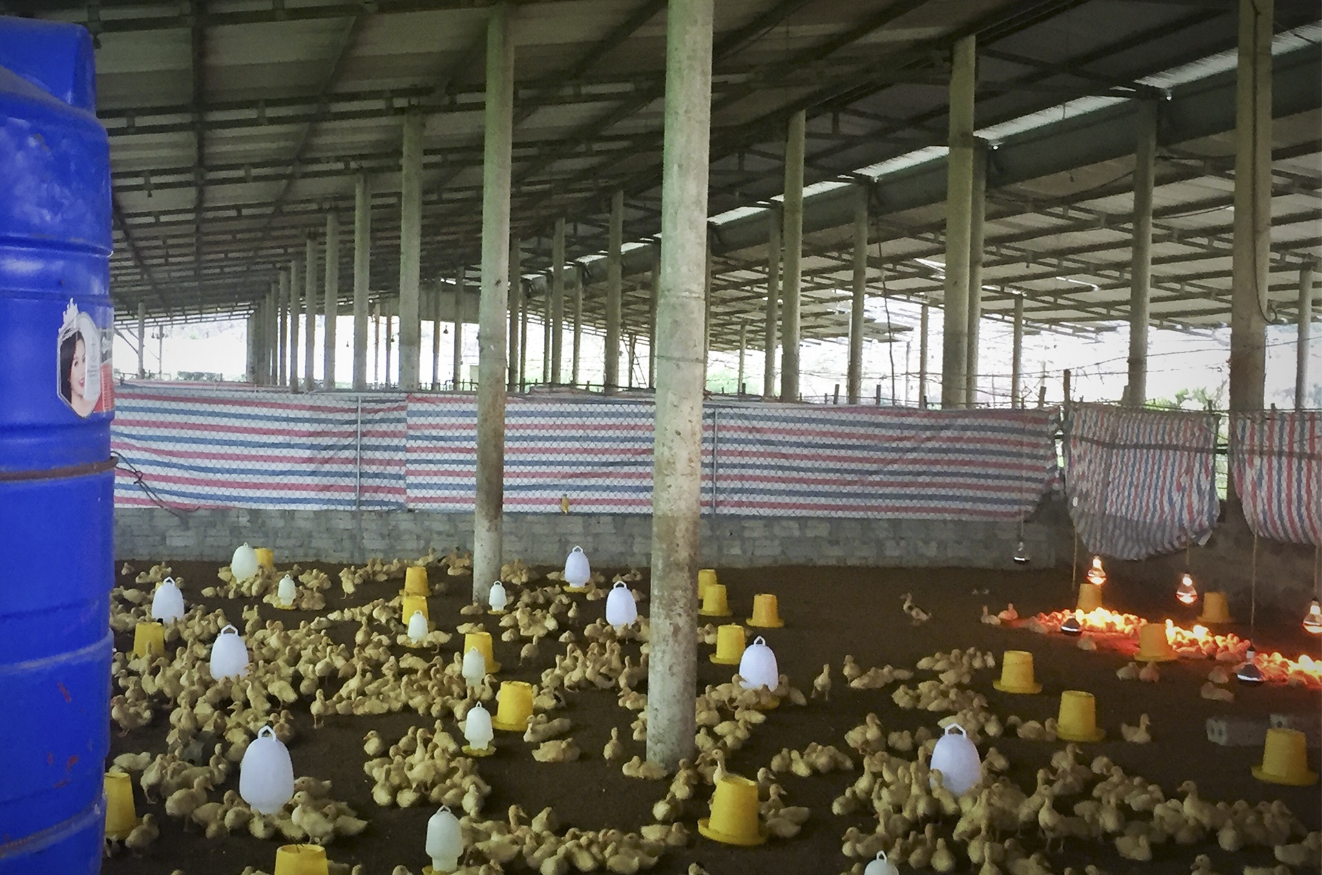 du an trieu do tai khoi dong anh 9