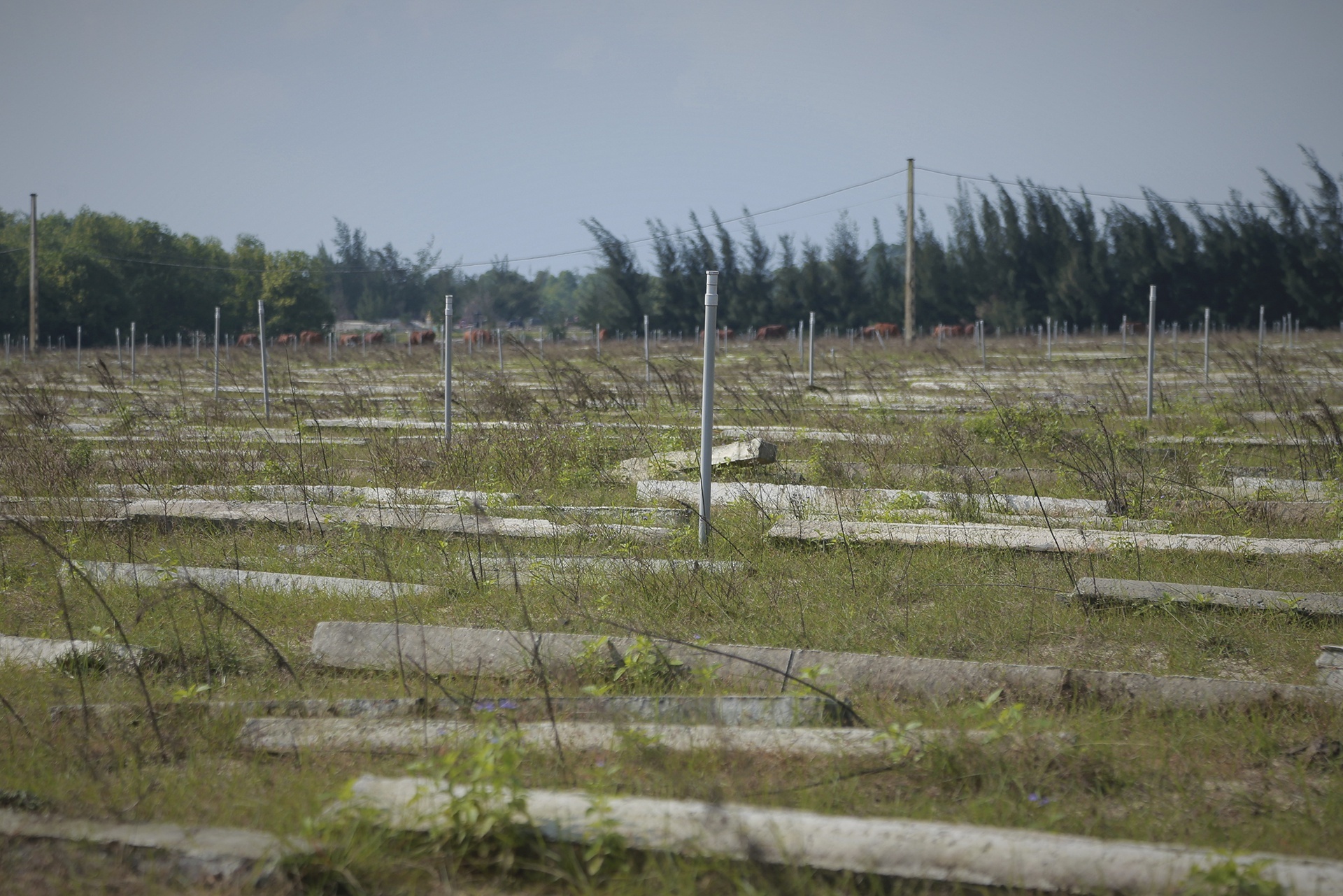 du an trieu do tai khoi dong anh 11