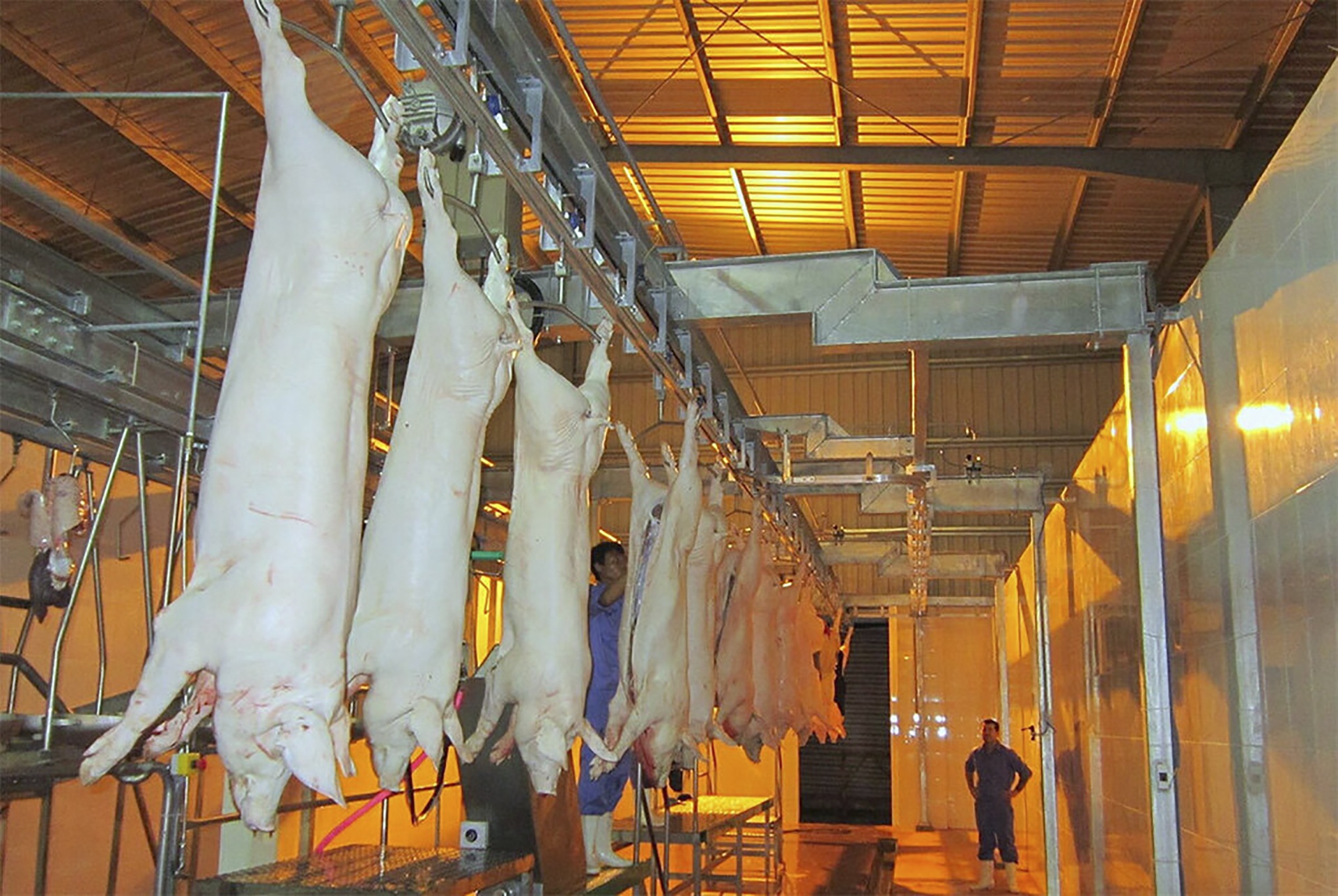 du an trieu do tai khoi dong anh 2