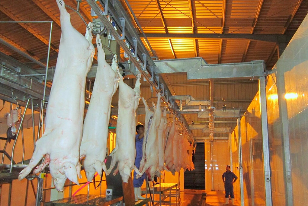 Khoi dong lai nha may che bien suc san tram ty 'ngu dong' 2 nam hinh anh