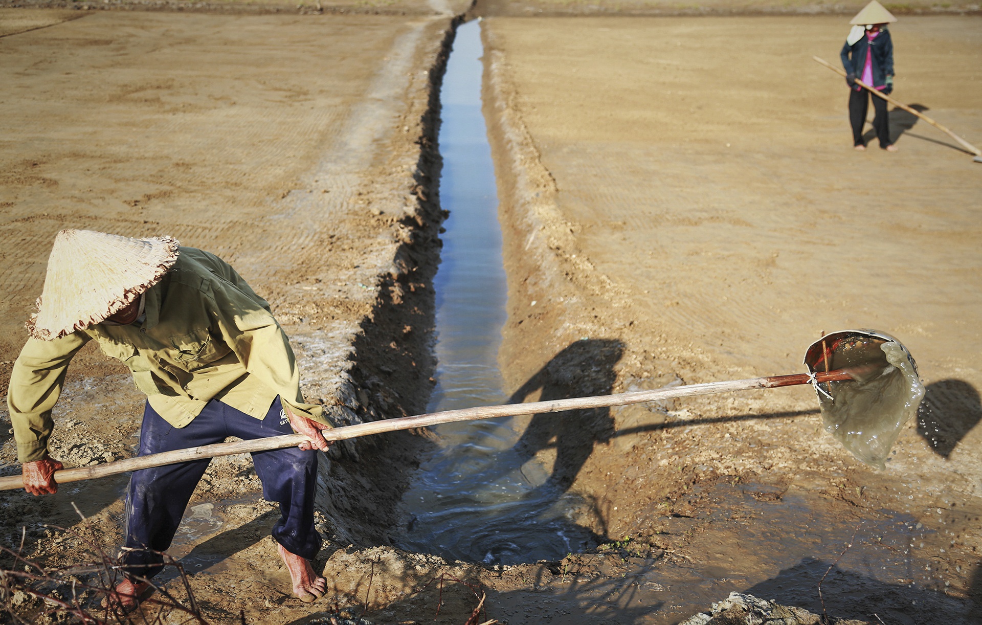 Nong dan vat va trong nang nong 40 do hinh anh