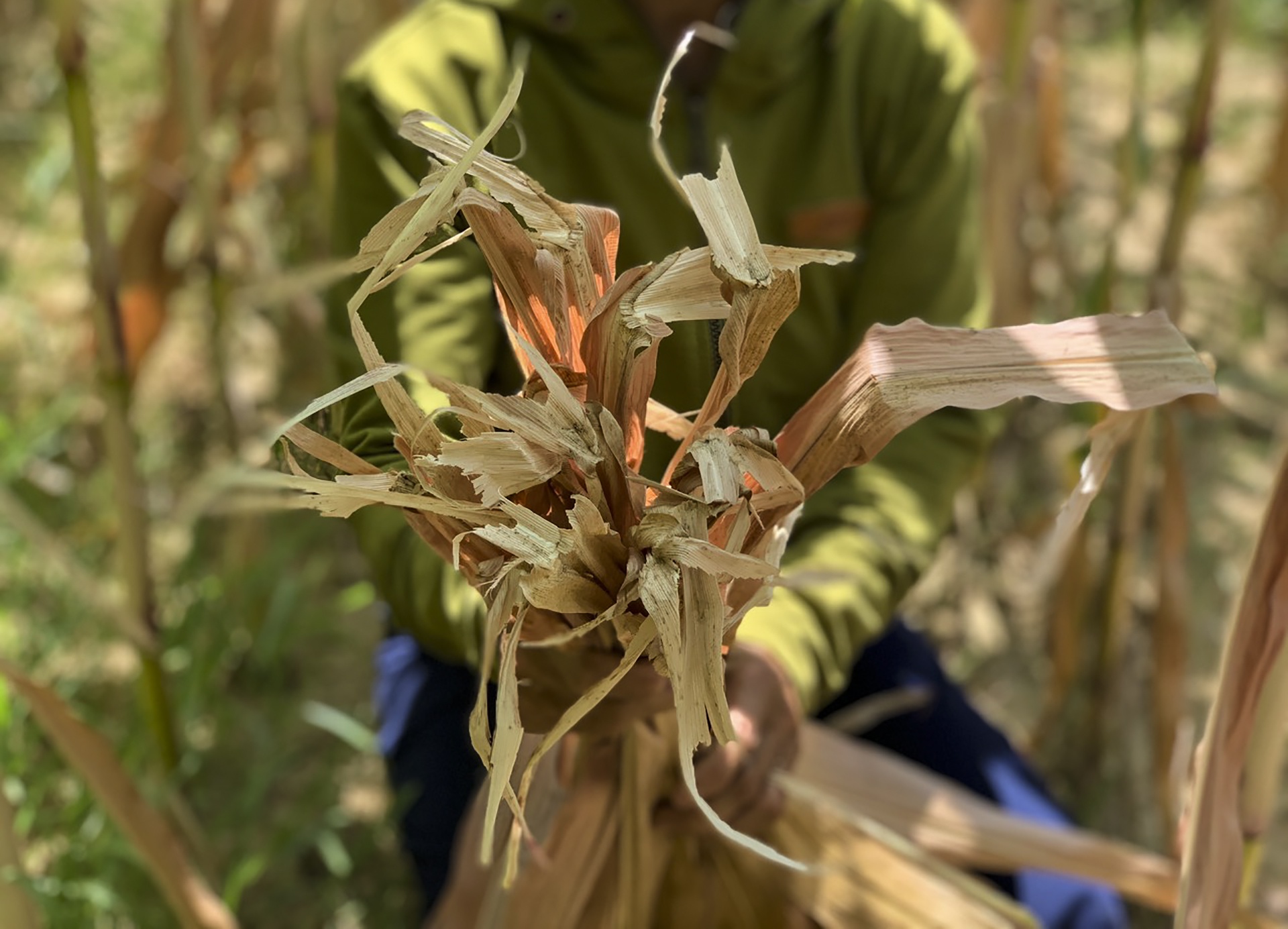 nang nong o mien Trung anh 5