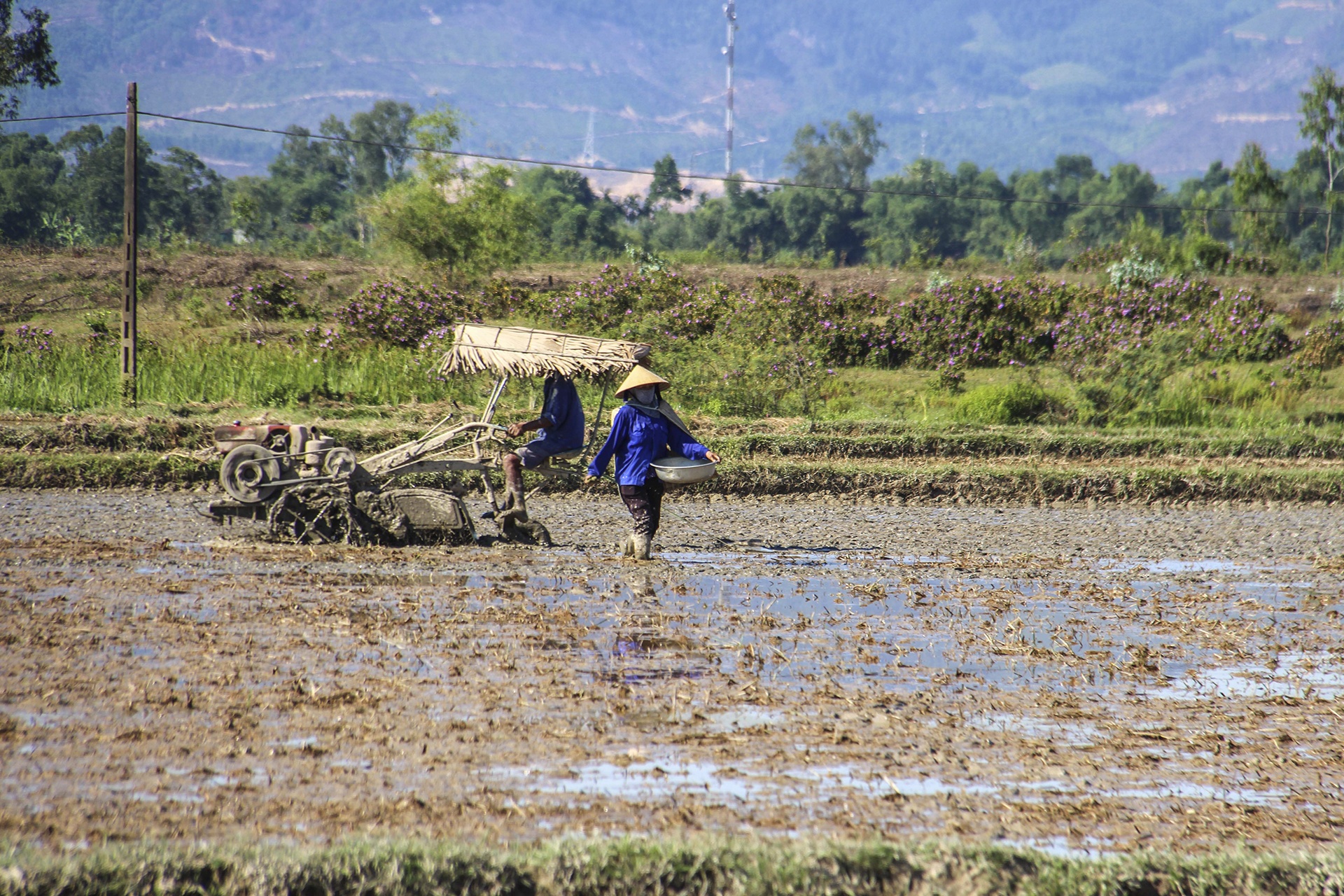 nang nong o mien Trung anh 1