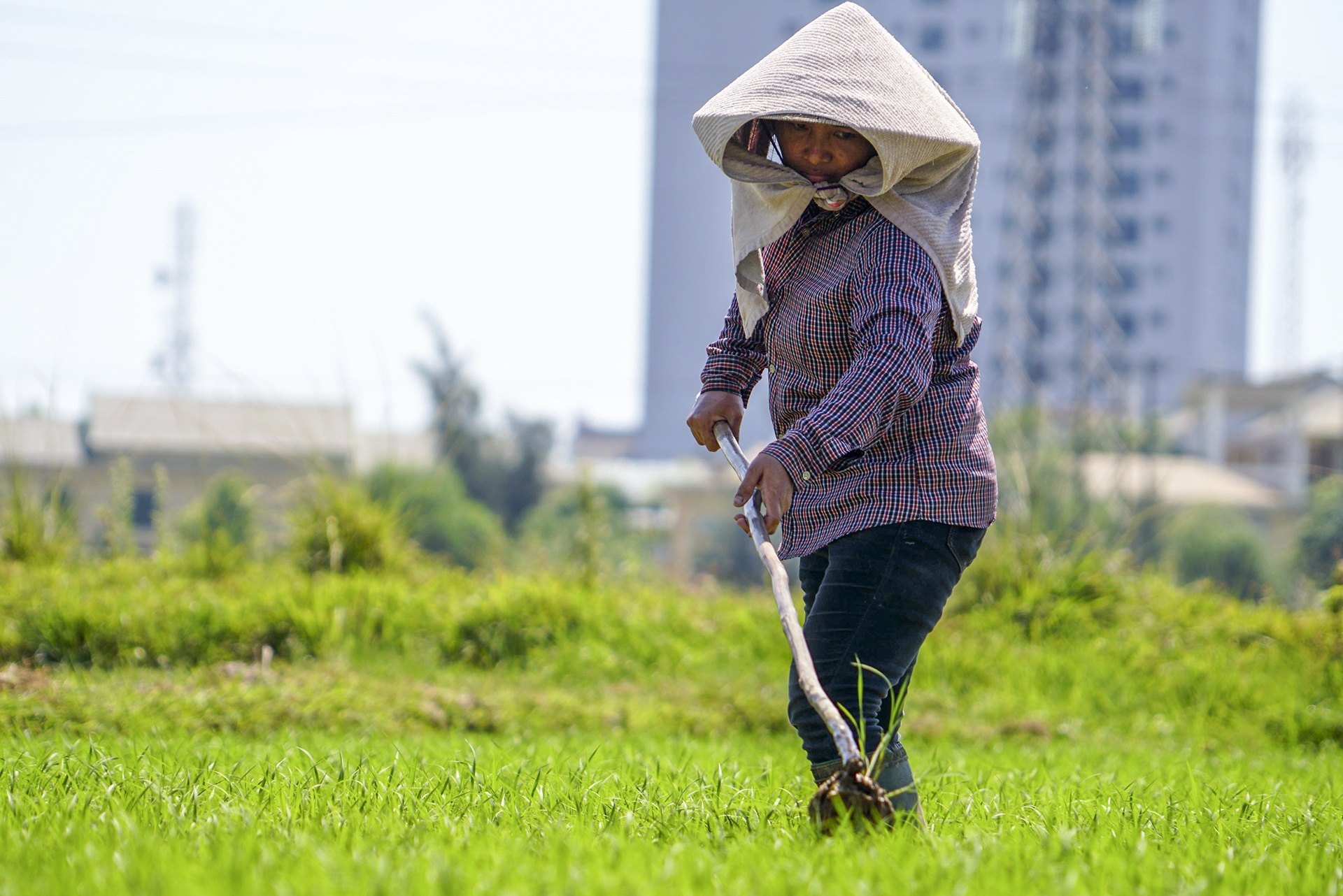 nang nong o mien Trung anh 4