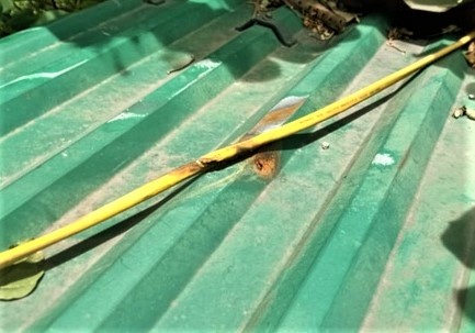 Tien dien cua mot ho dan tang hon 13,5 trieu dong hinh anh