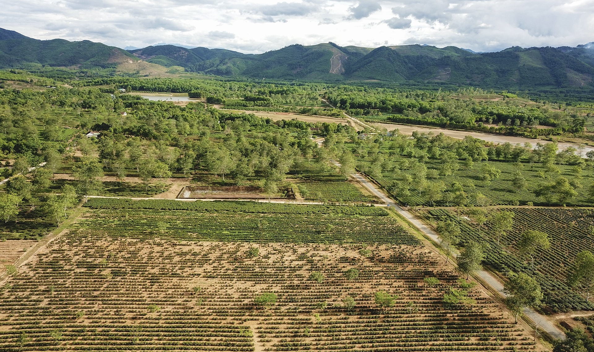 che chet kho vi nang han anh 1