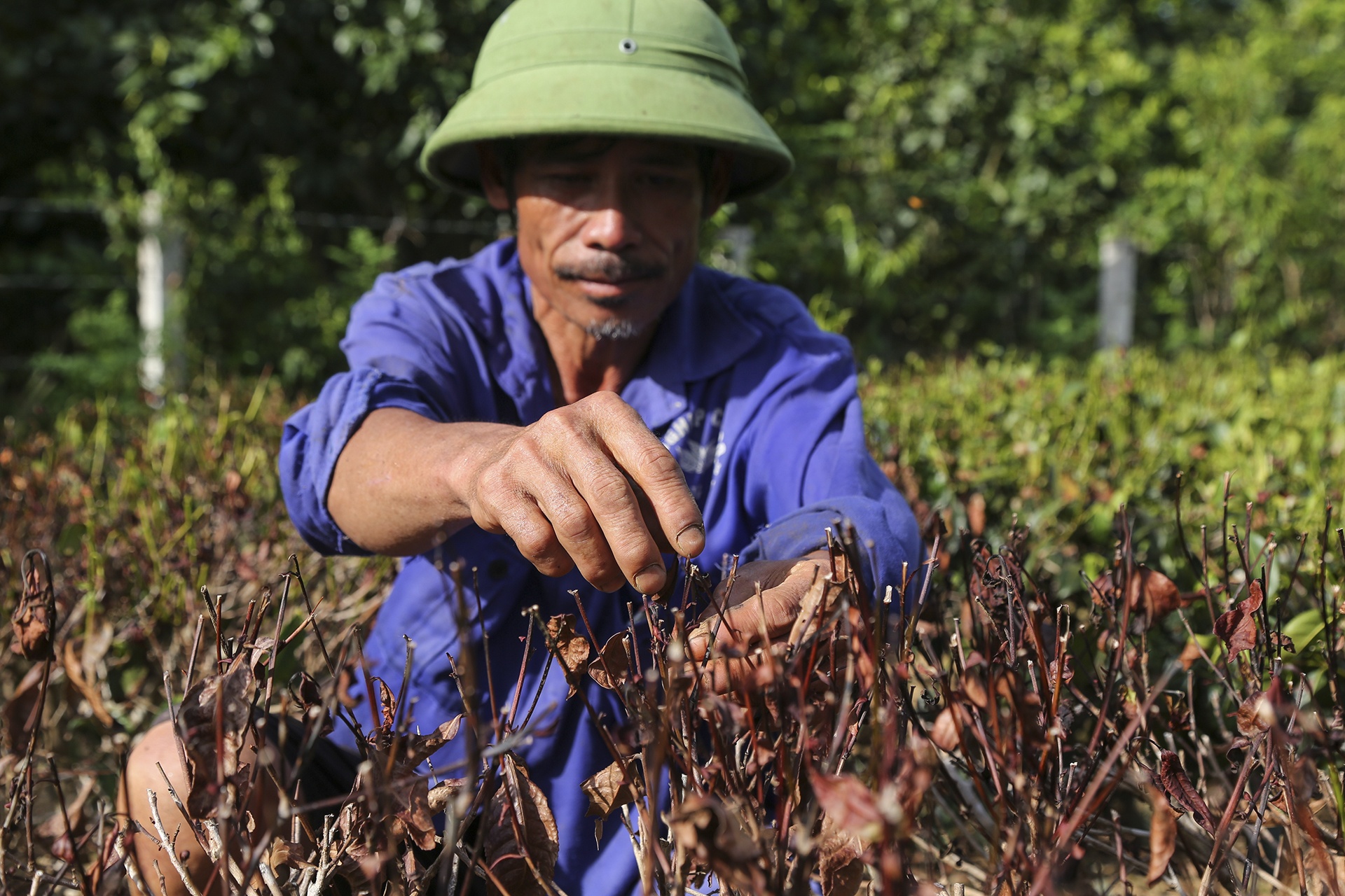 che chet kho vi nang han anh 3