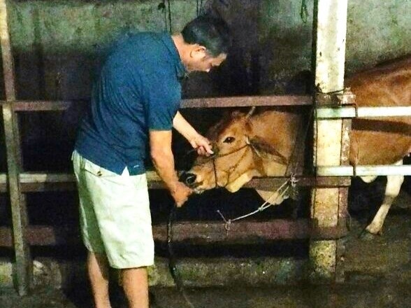 Bom nuoc vao bung bo truoc khi giet mo hinh anh