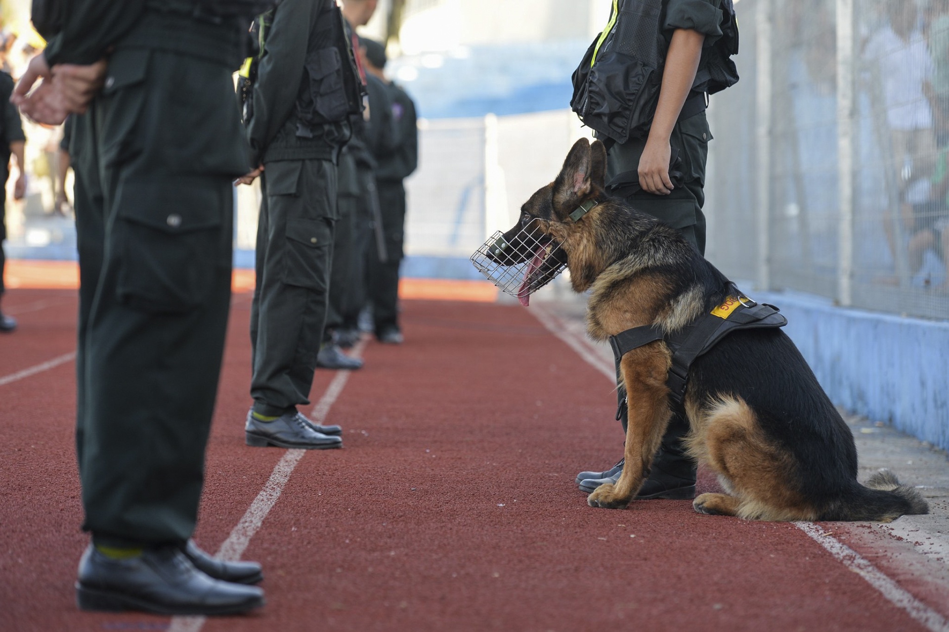 co dong vien tran vao san Ha Tinh anh 1