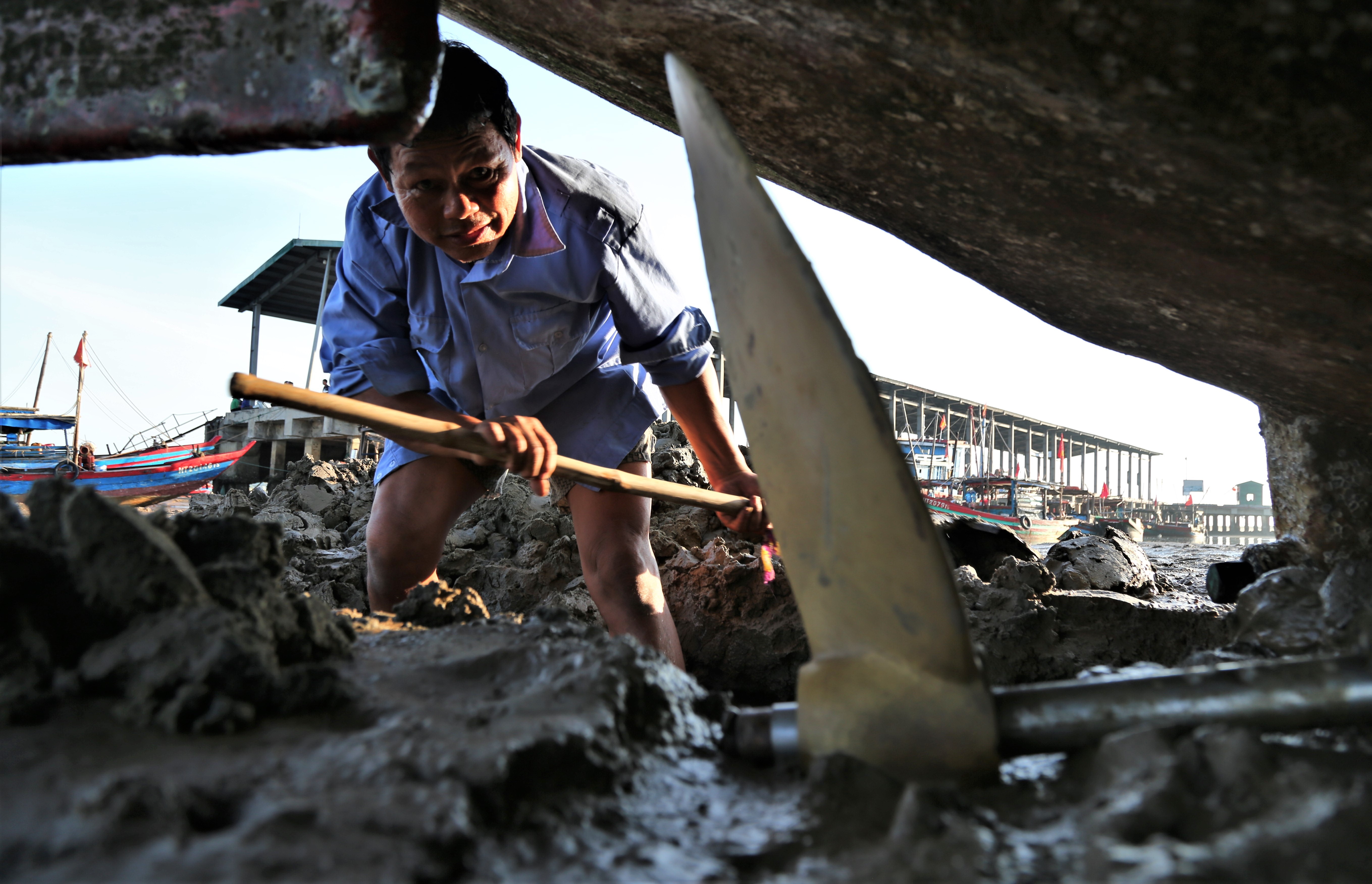 Canh tau ca mac can o cang 110 ty dong hinh anh