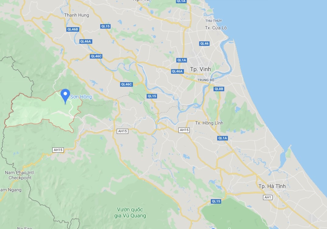 tu vong khi lay mat ong rung anh 2