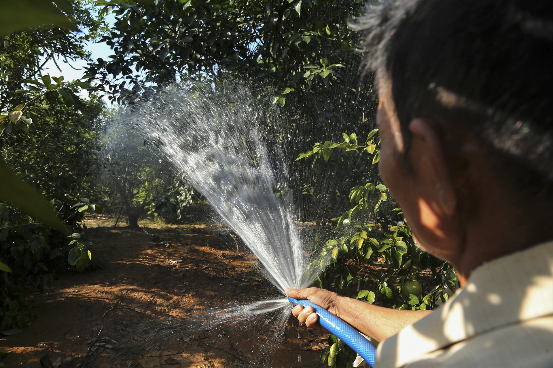 nang nong keo dai anh 10