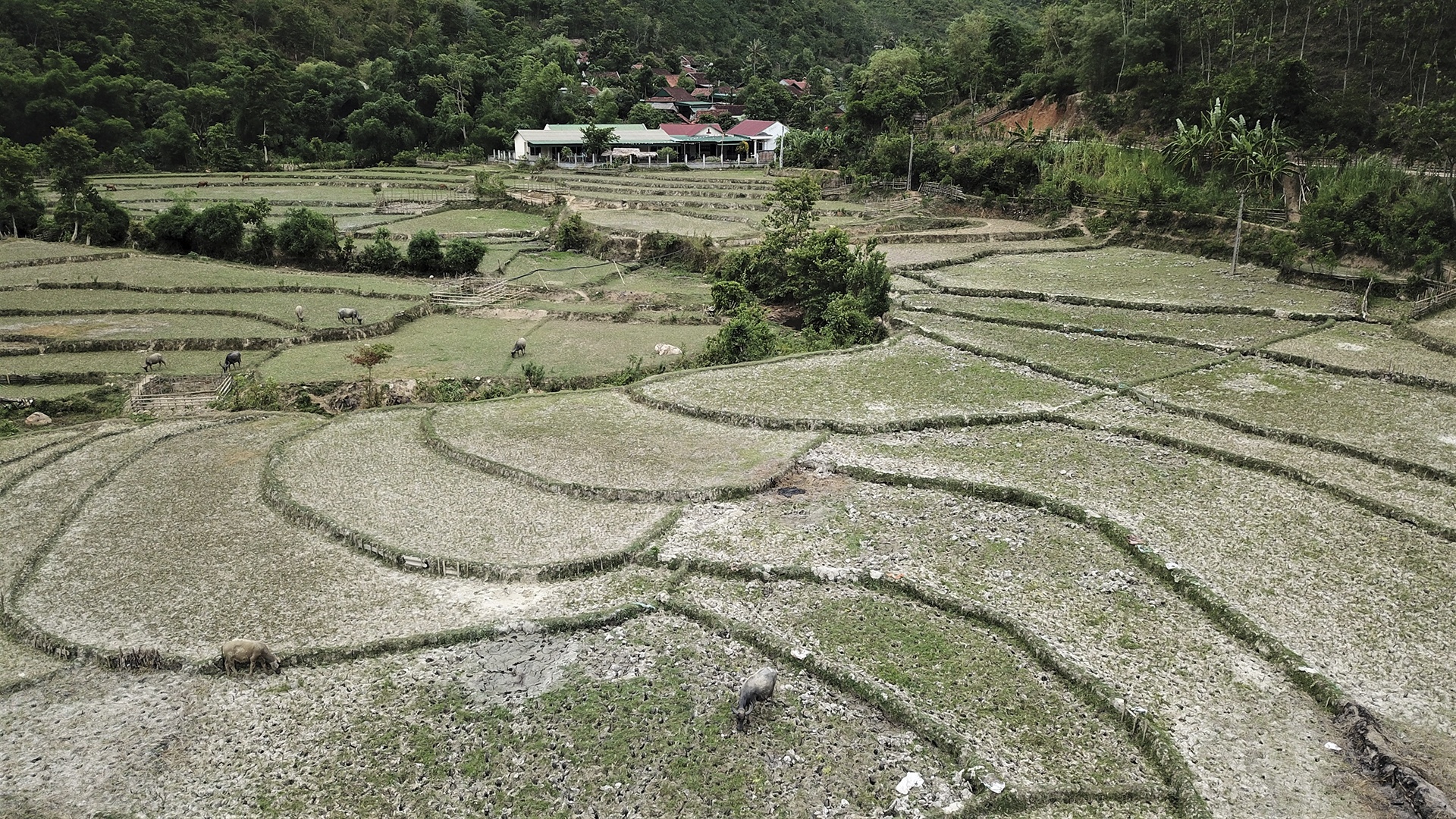 nang nong keo dai anh 11