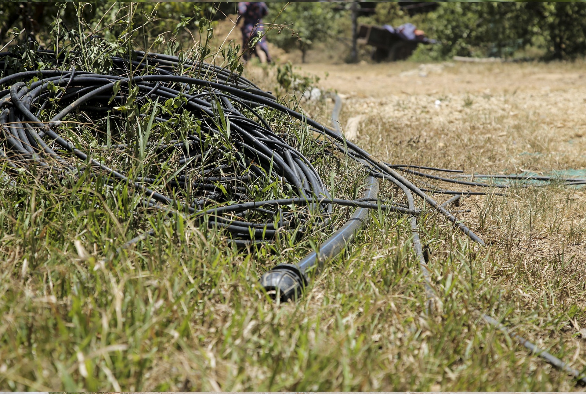 nang nong keo dai anh 8