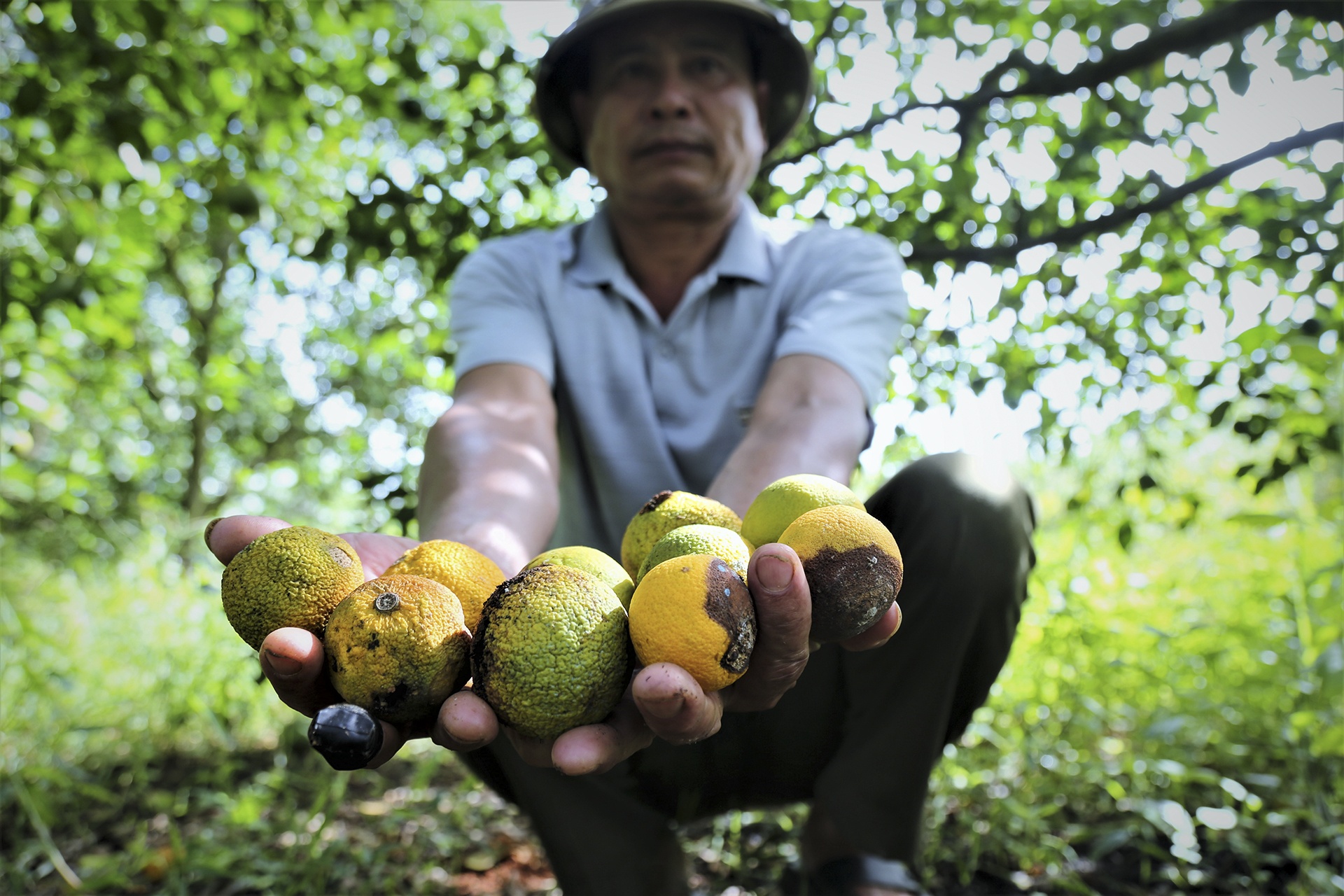 nang nong keo dai anh 3