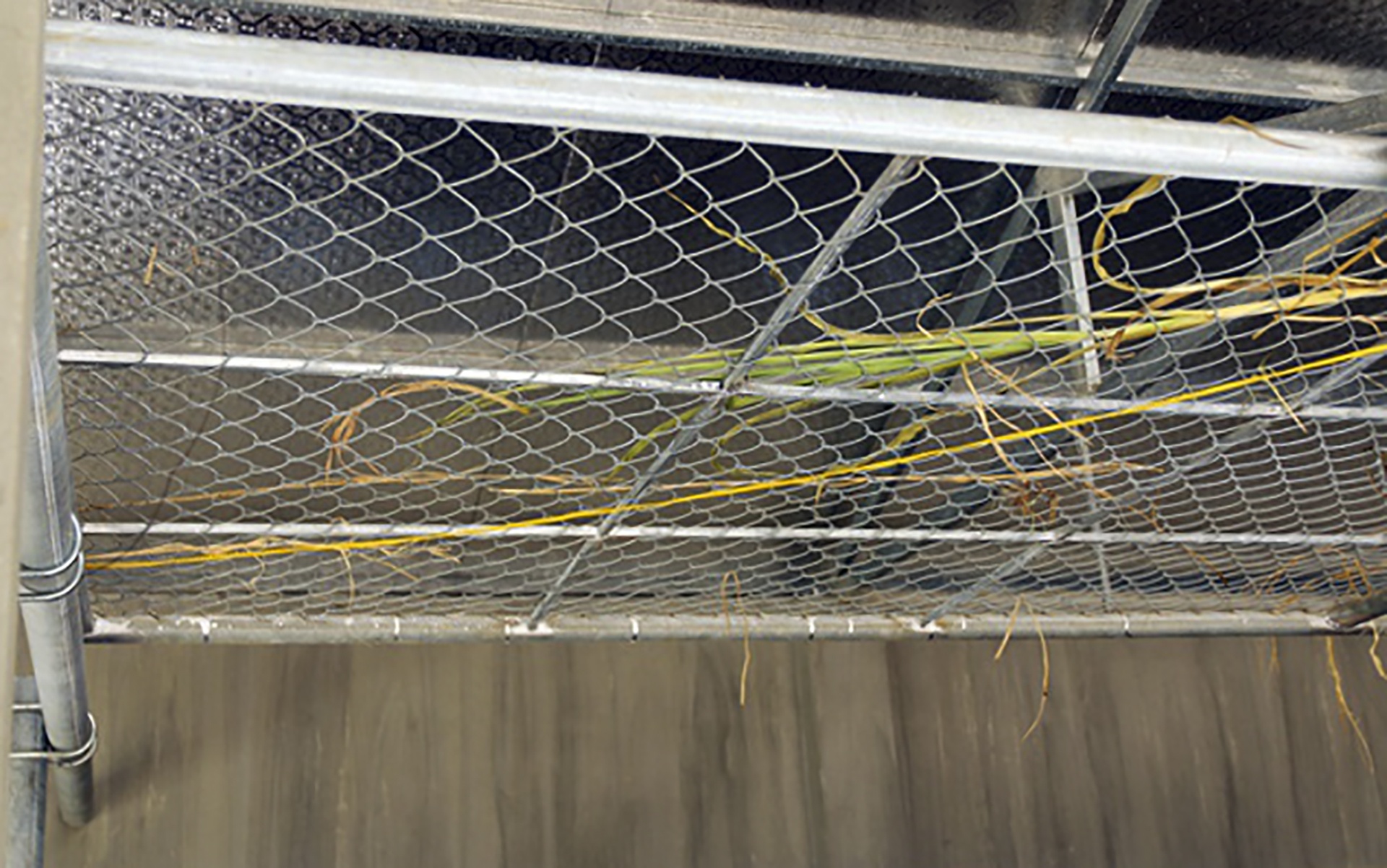 chuong bo 230 trieu o Nghe An anh 11