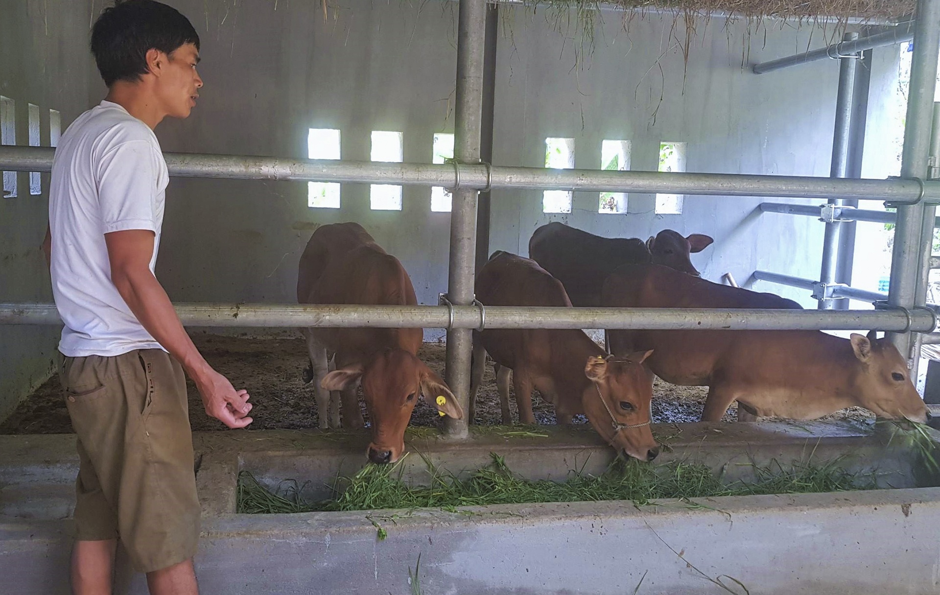 chuong bo 230 trieu o Nghe An anh 14