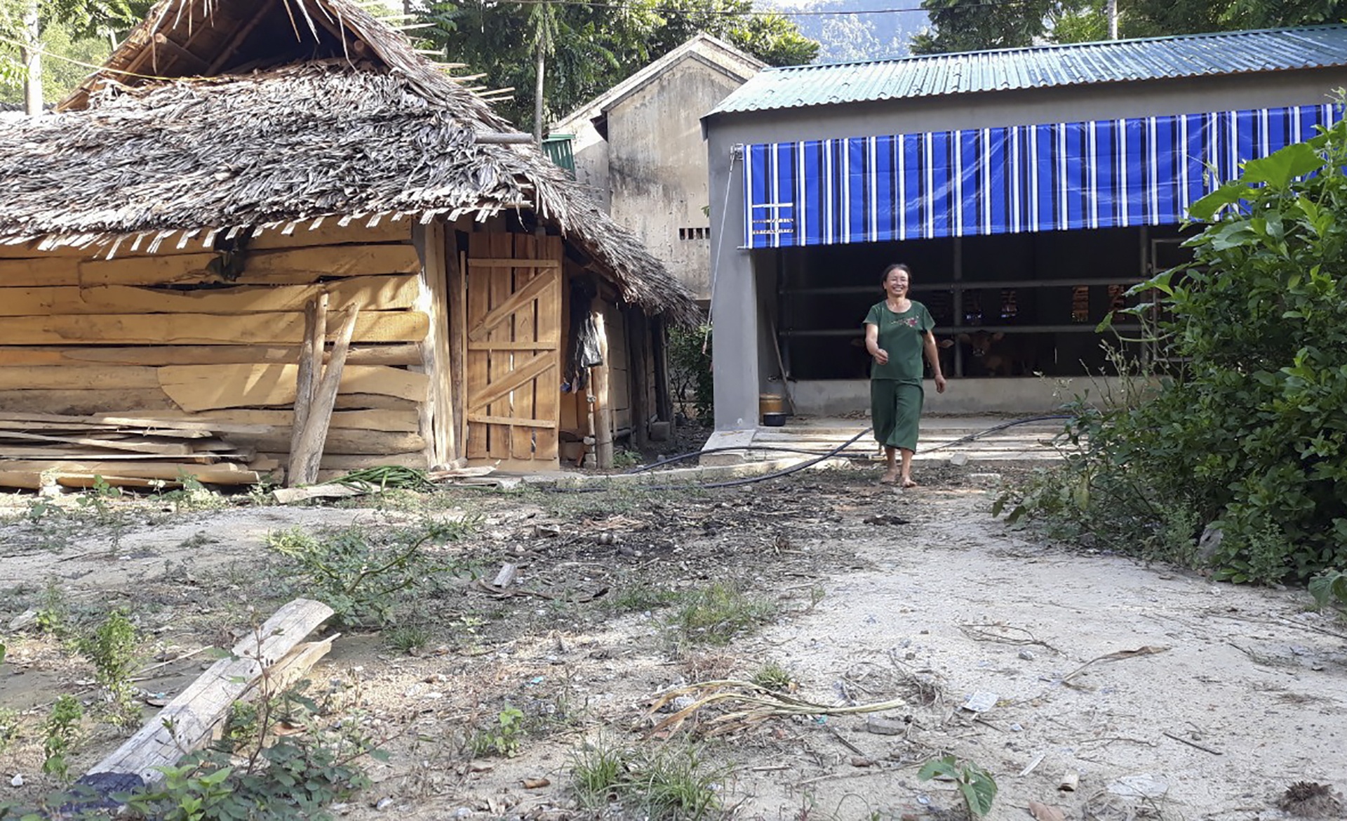 chuong bo 230 trieu o Nghe An anh 15